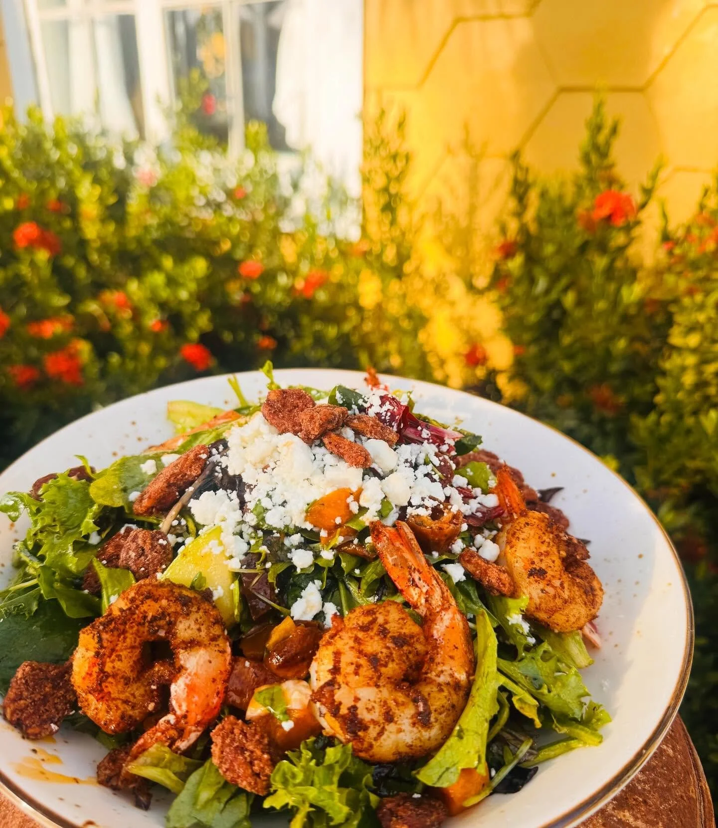 Do you remember me?
The Harvest Salad is Back! 
Dates, Goat Cheese, Candied Pecans, Apples, Squash, Mixed Greens and our Champagne Vinaigrette!

All day long! Are you as happy as us?