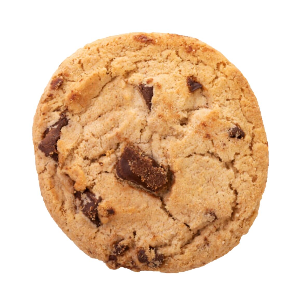 Testimonial – Courtney Curtis