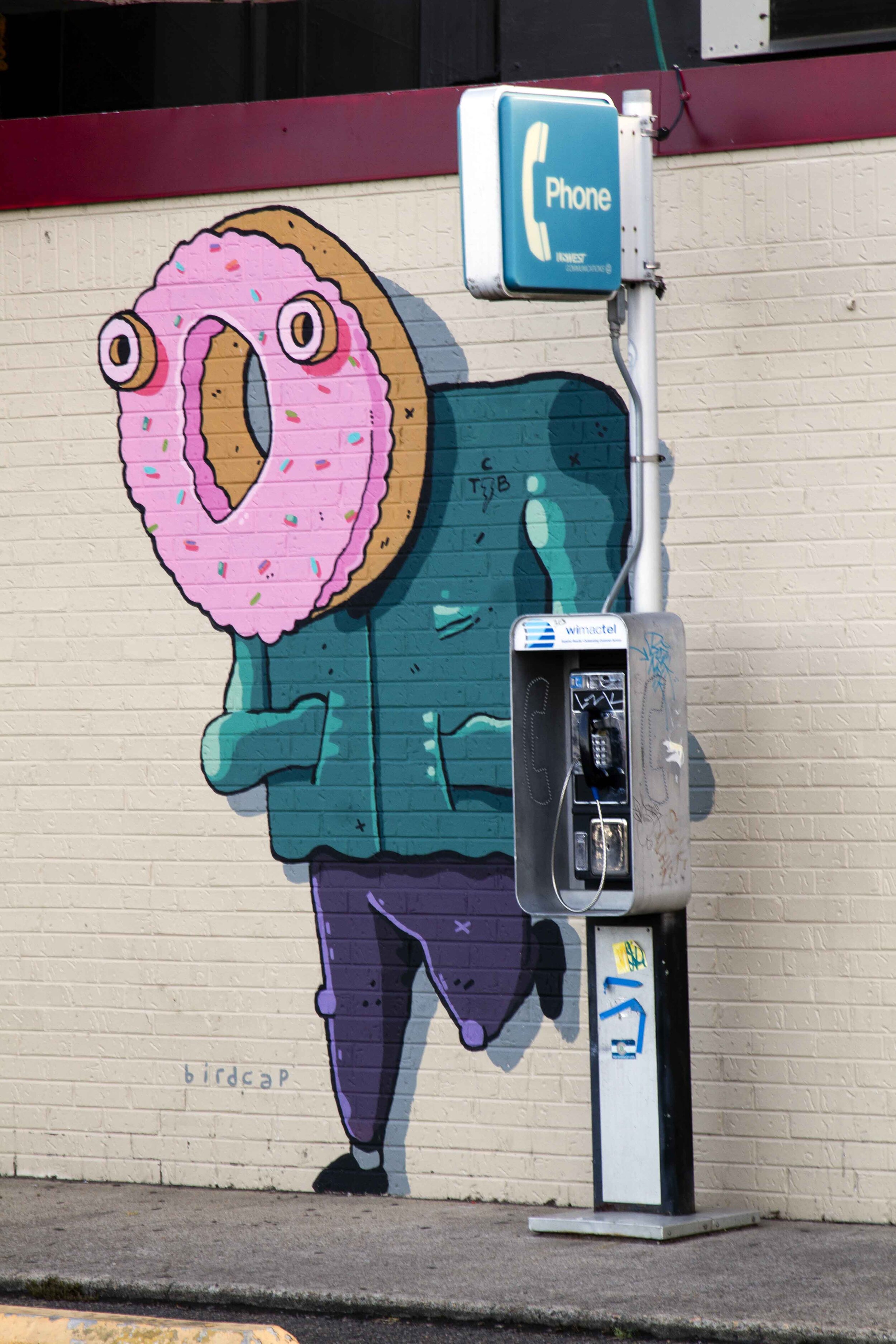 Birdcap.Donut Man 3.jpg