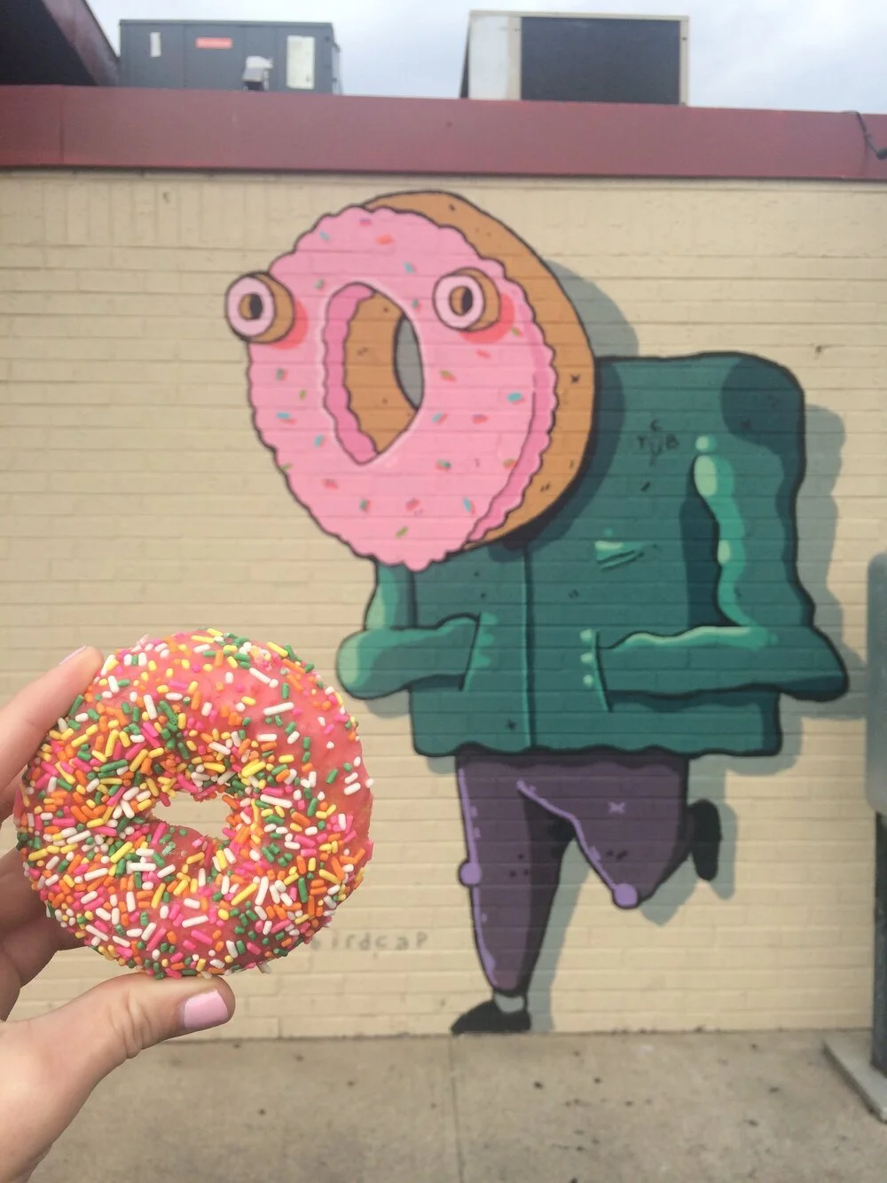 Birdcap.Donut+Man+2.jpg