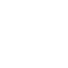 Junebug Weddings Logo.png
