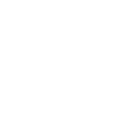 The Anti-Bride Logo.png