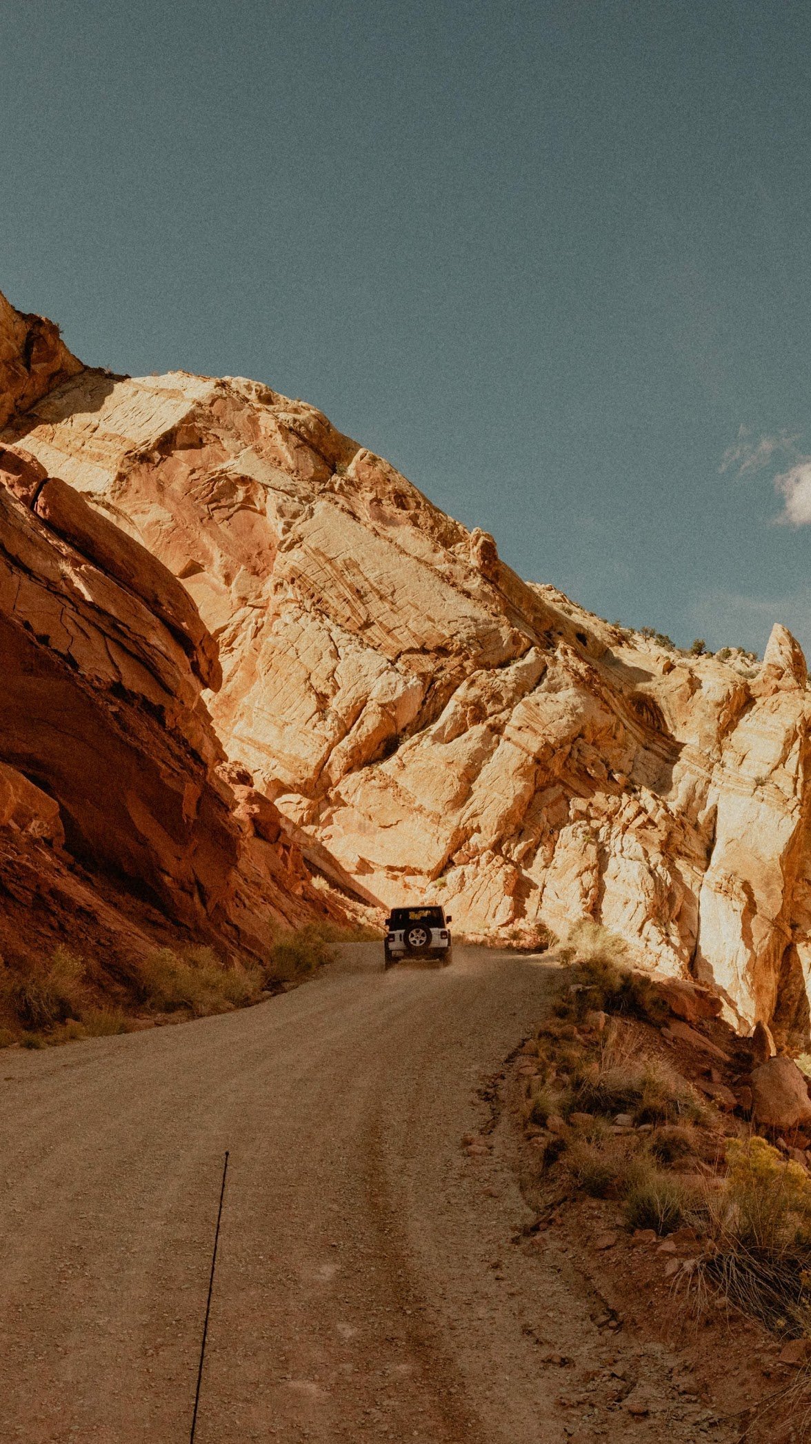 The Coda’s Collective – modern wedding and event planners in St. Louis and Melbourne, specializing in destination weddings, parties, and luxury event planning.