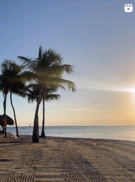 The Coda’s Collective – modern wedding and event planners in St. Louis and Melbourne, specializing in destination weddings, parties, and luxury event planning.