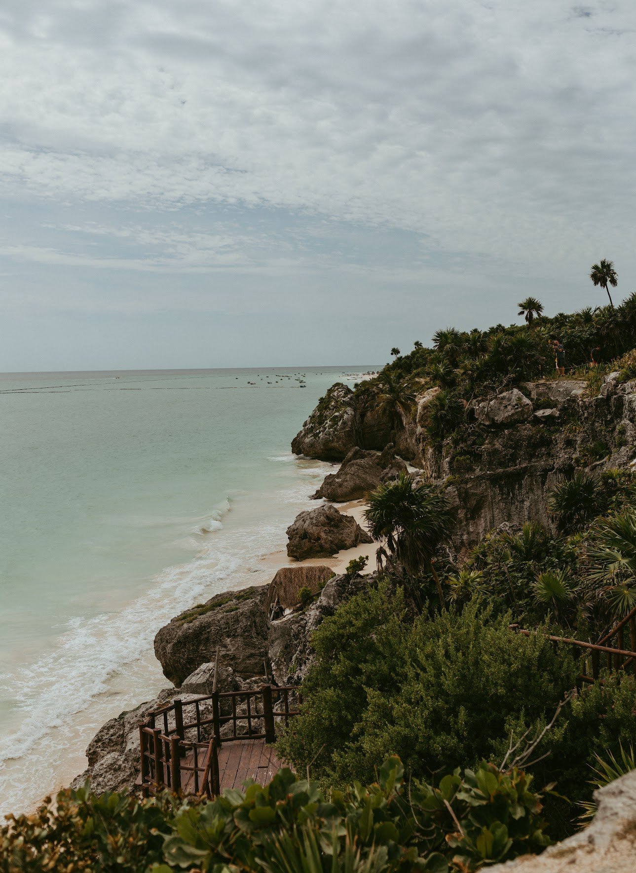 The Coda's Collective — luxury wedding and event planning based in St. Louis and Melbourne Charley, founder and creative director of The Coda's Collective, St. Louis wedding planner