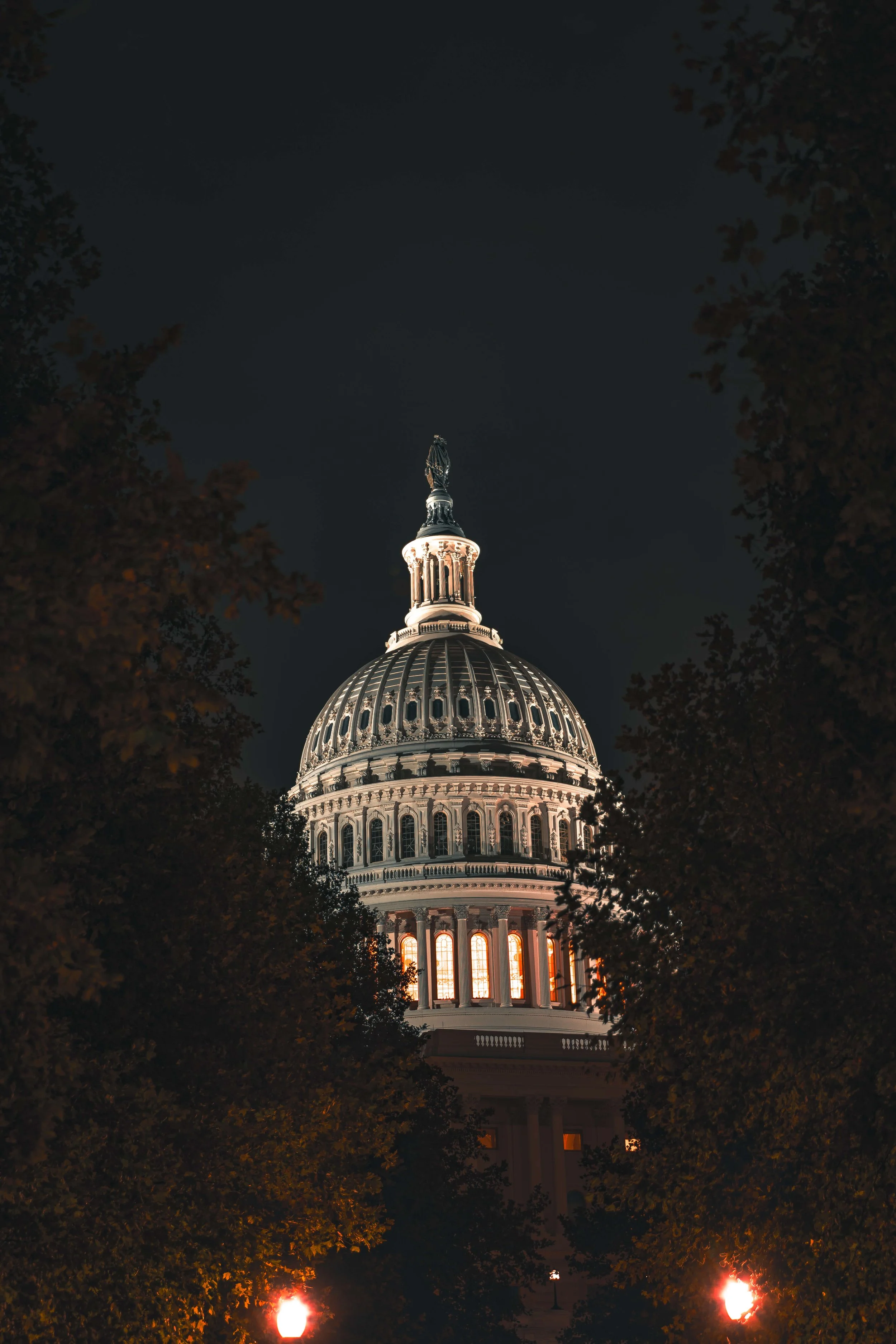 Nighttime view of the United States Capitol building in Washington D.C., illuminated against the dark sky with surrounding trees and streetlamp lights in the foreground.