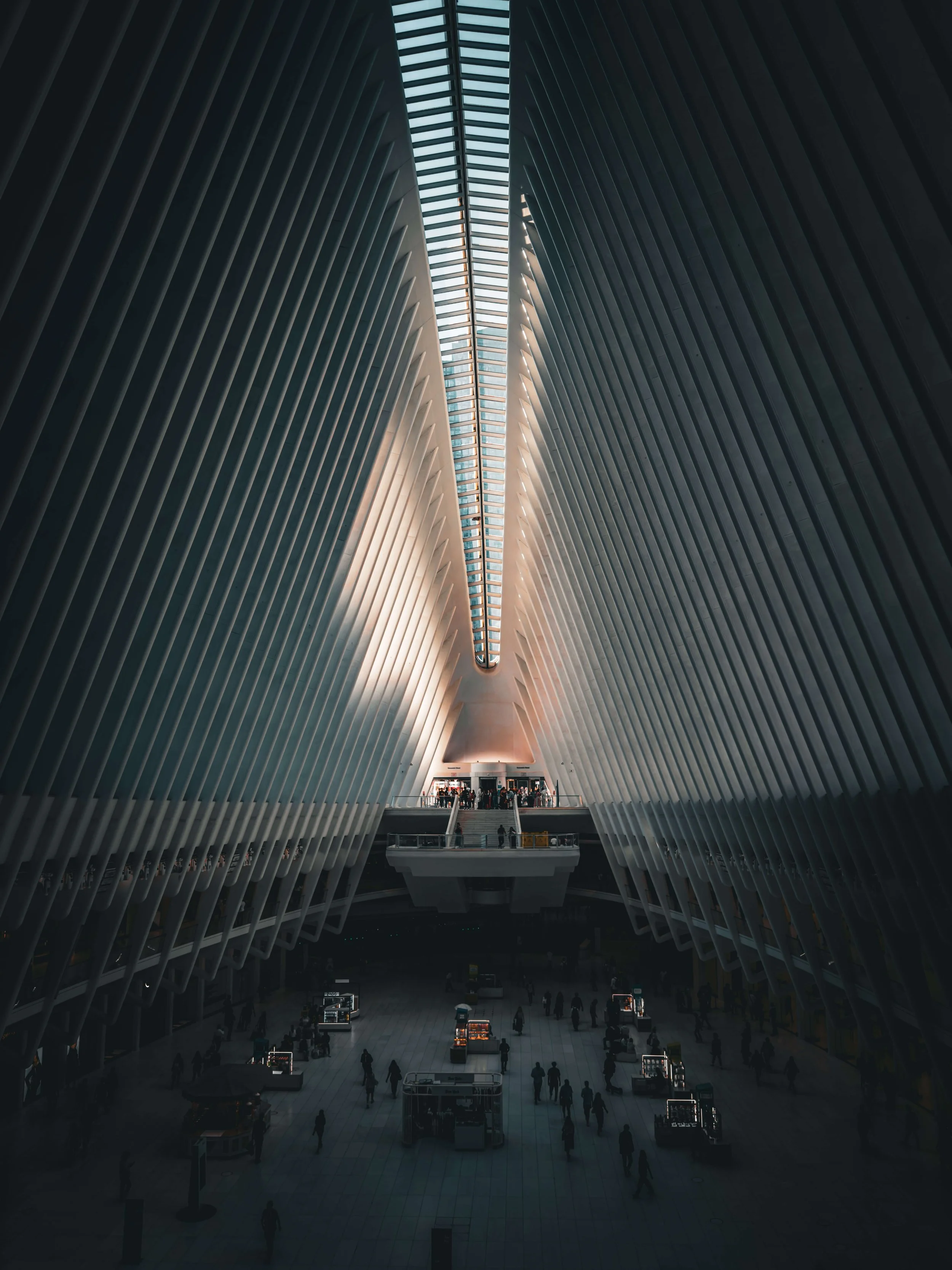 Interior view of a modern airport terminal with high arched ceilings and vertical white ribs, natural light entering through the glass roof, with people walking and standing at counters.