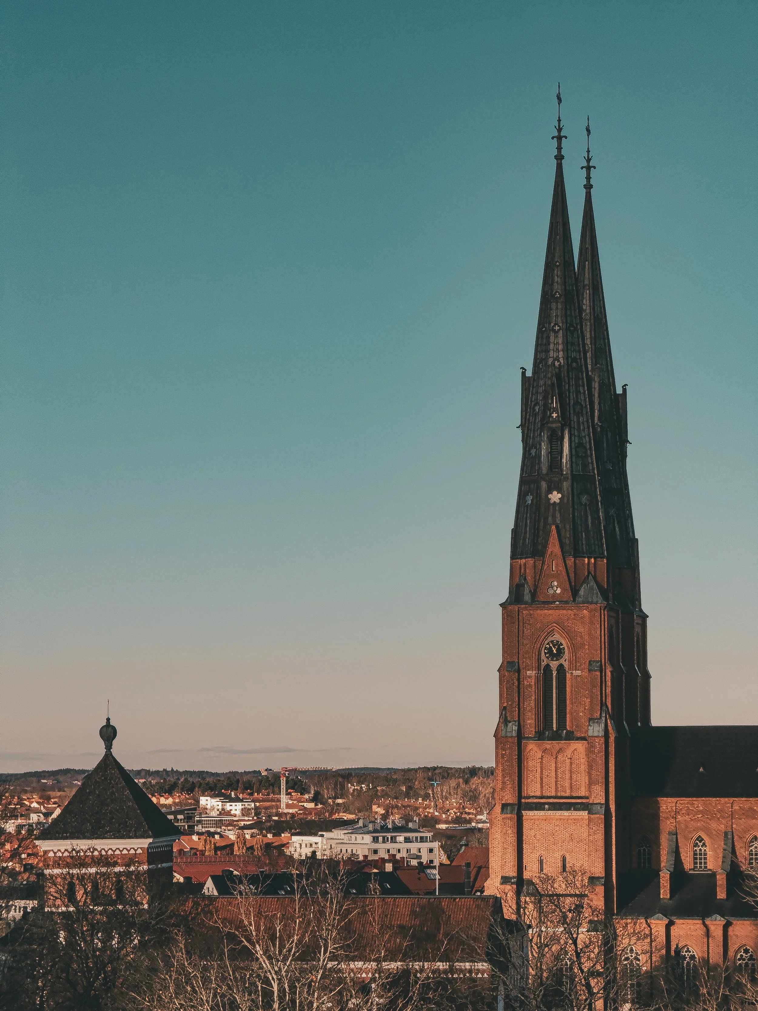 View of a tall, historic church with a clock tower and spires, overlooking a cityscape with various buildings and trees.