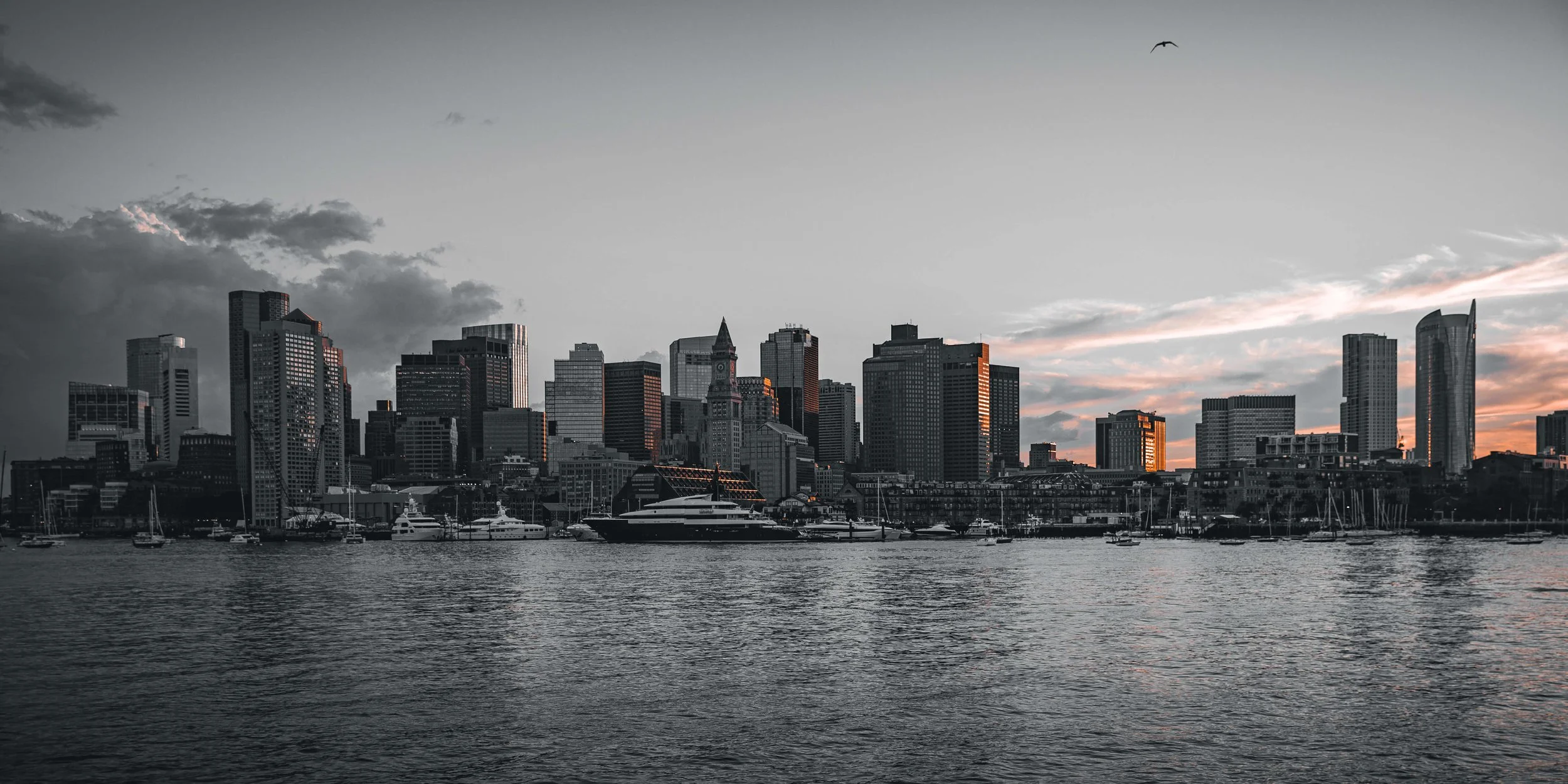 A black-and-white city skyline view with high-rise buildings along a waterfront with boats and yachts docked, and a sky with some clouds and a single bird flying.