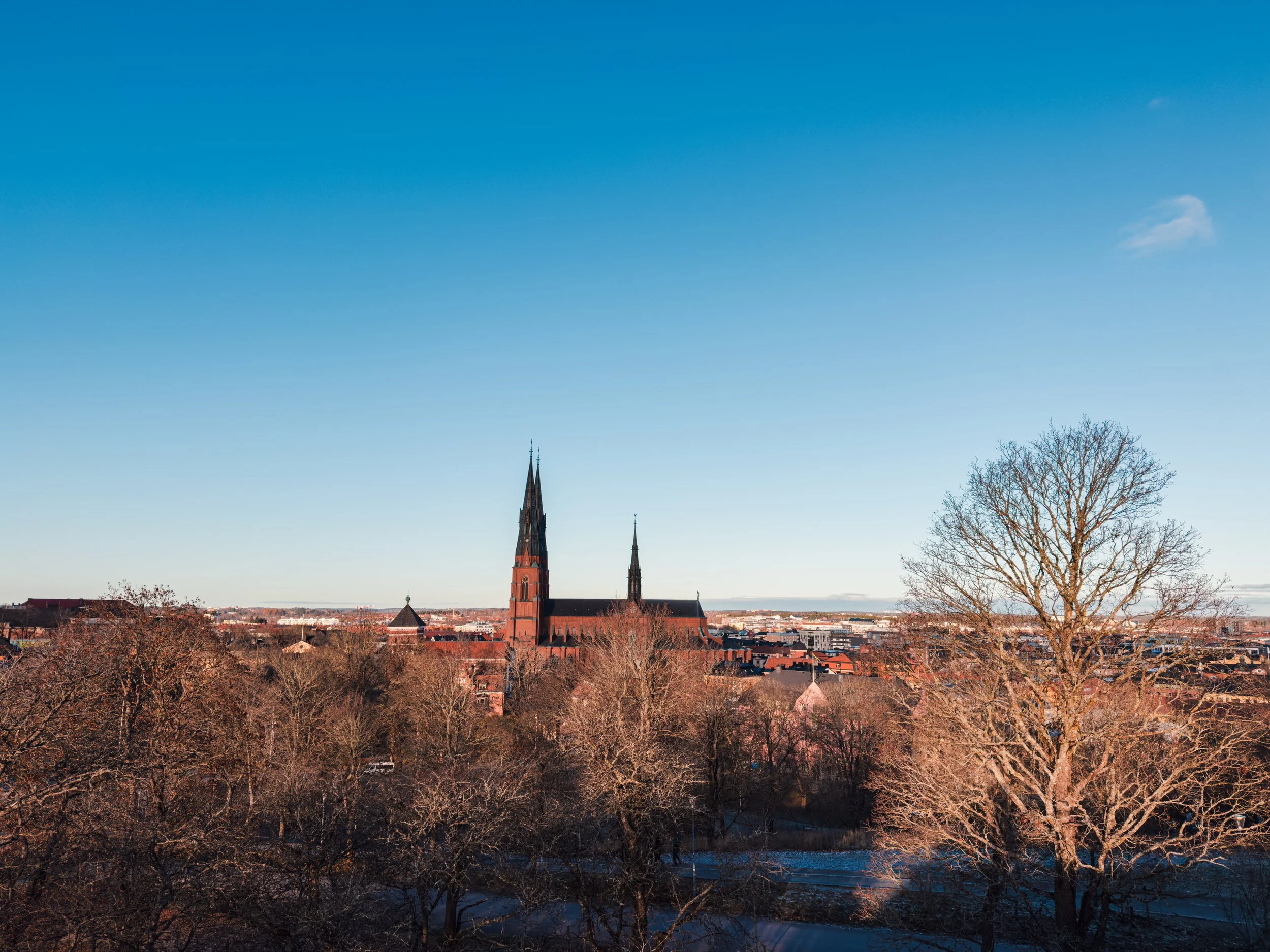 A cityscape with a prominent church featuring tall spires, surrounded by leafless trees under a clear blue sky.