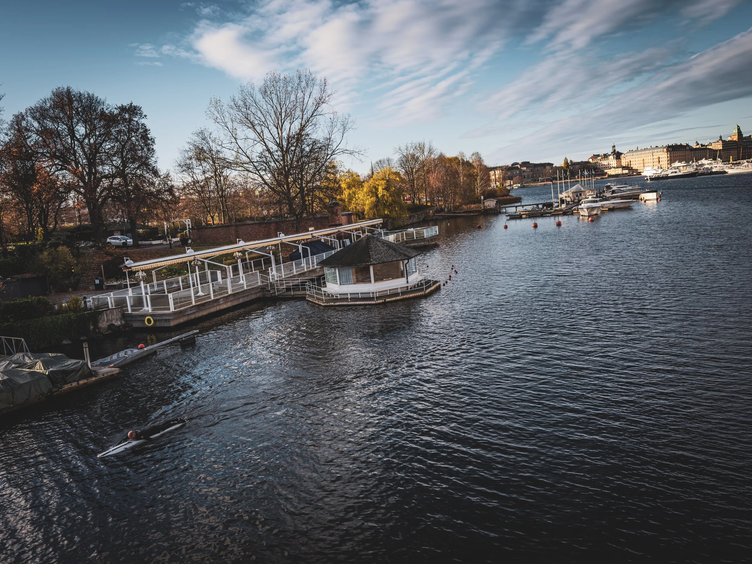 A scenic view of a harbor with boats, a small pier, trees with autumn leaves, and a cityscape in the background under a cloudy sky.