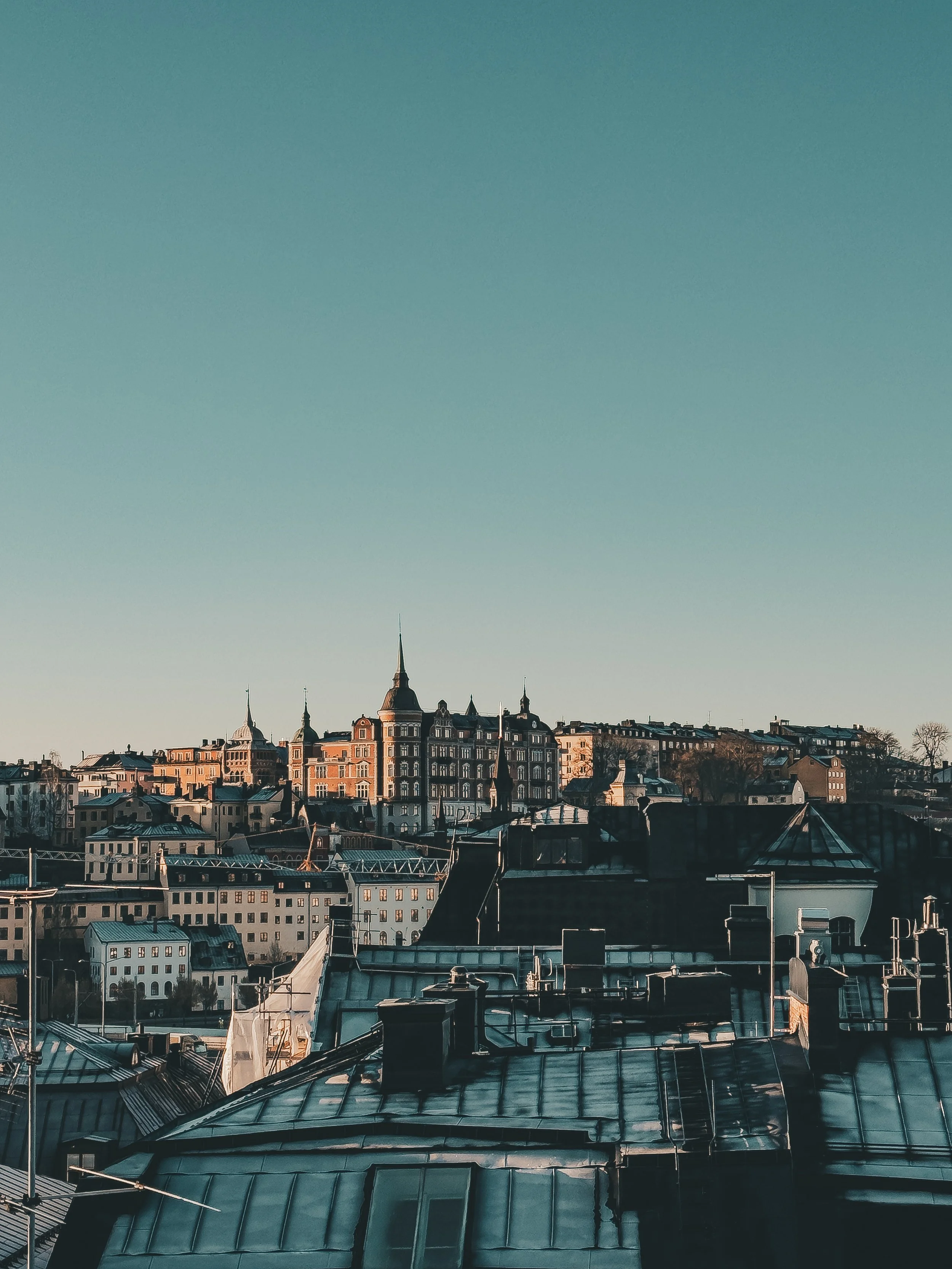 City skyline with historic buildings and rooftops under a clear sky.