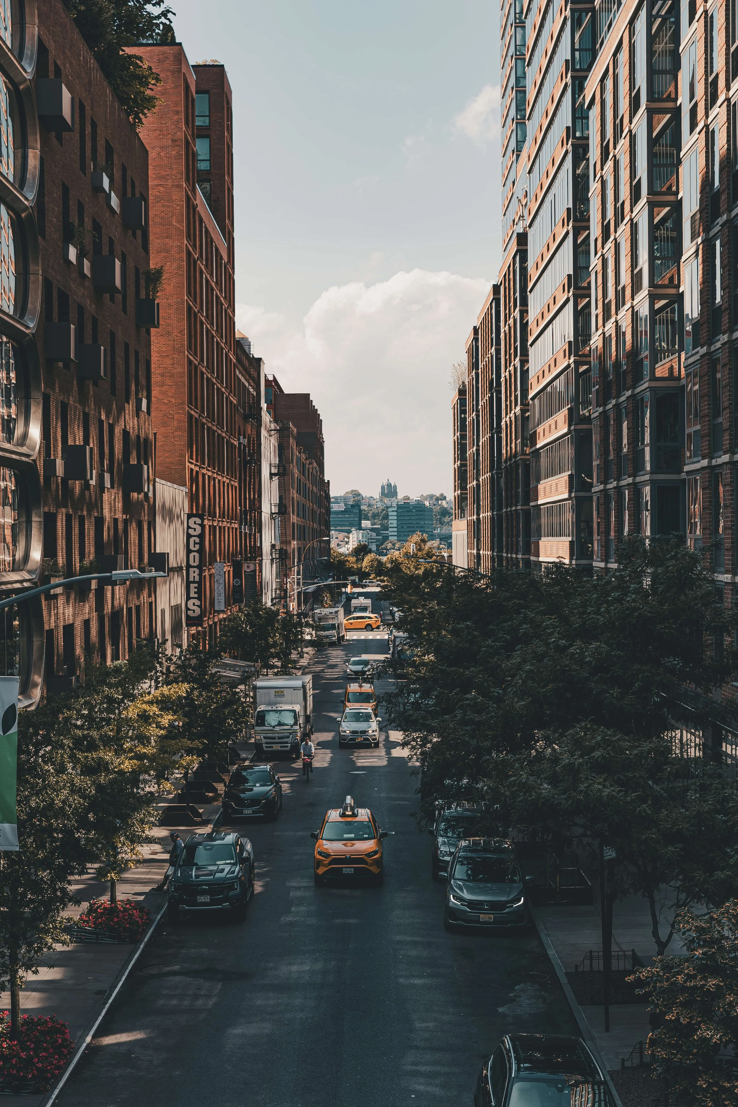 A city street with tall buildings on both sides, cars and trucks on the road, trees lining the sidewalks, and a distant view of a hill with buildings on top.