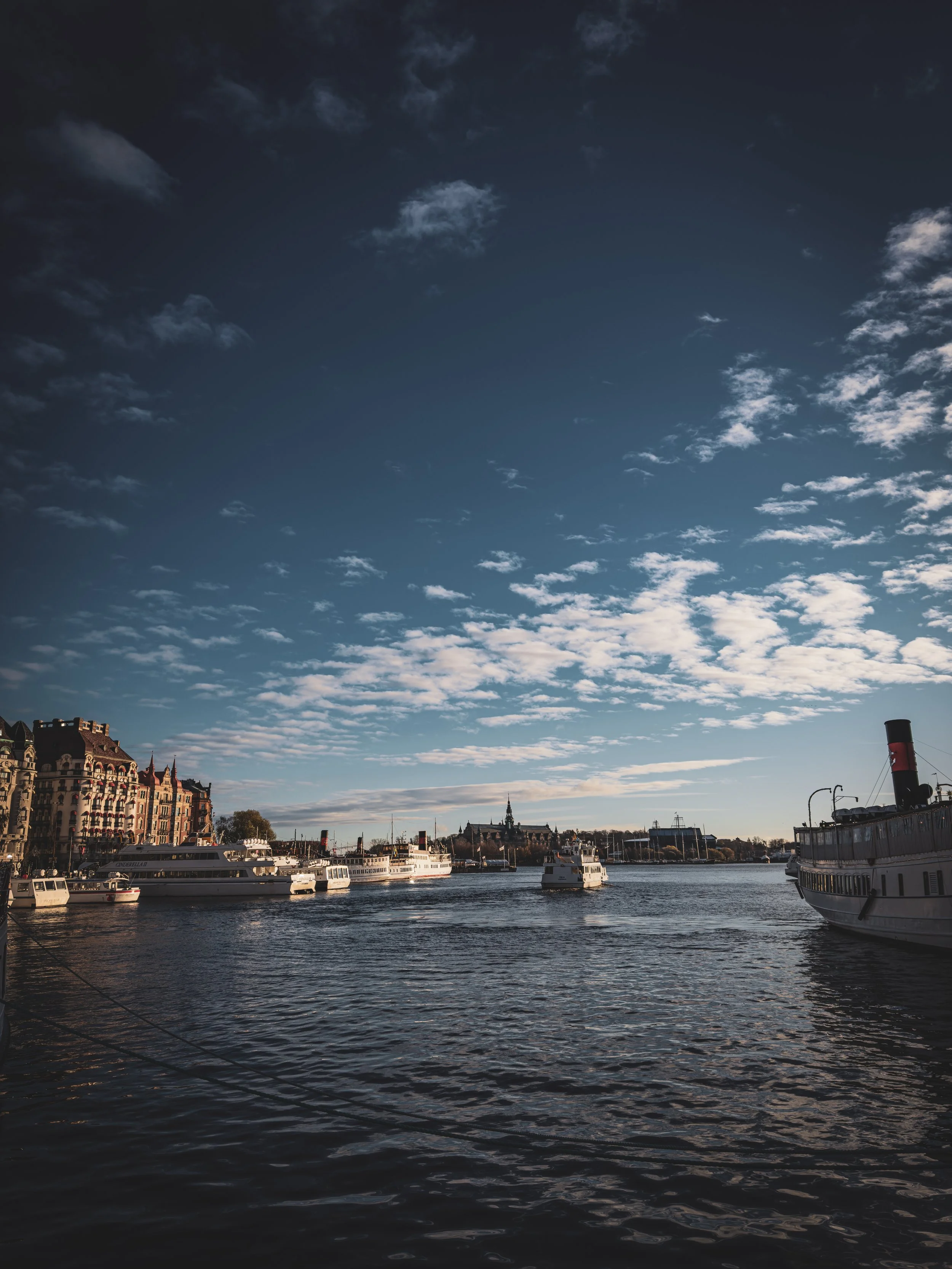 A harbor with several boats and ships docked, historic buildings on the left, and a partly cloudy sky overhead.
