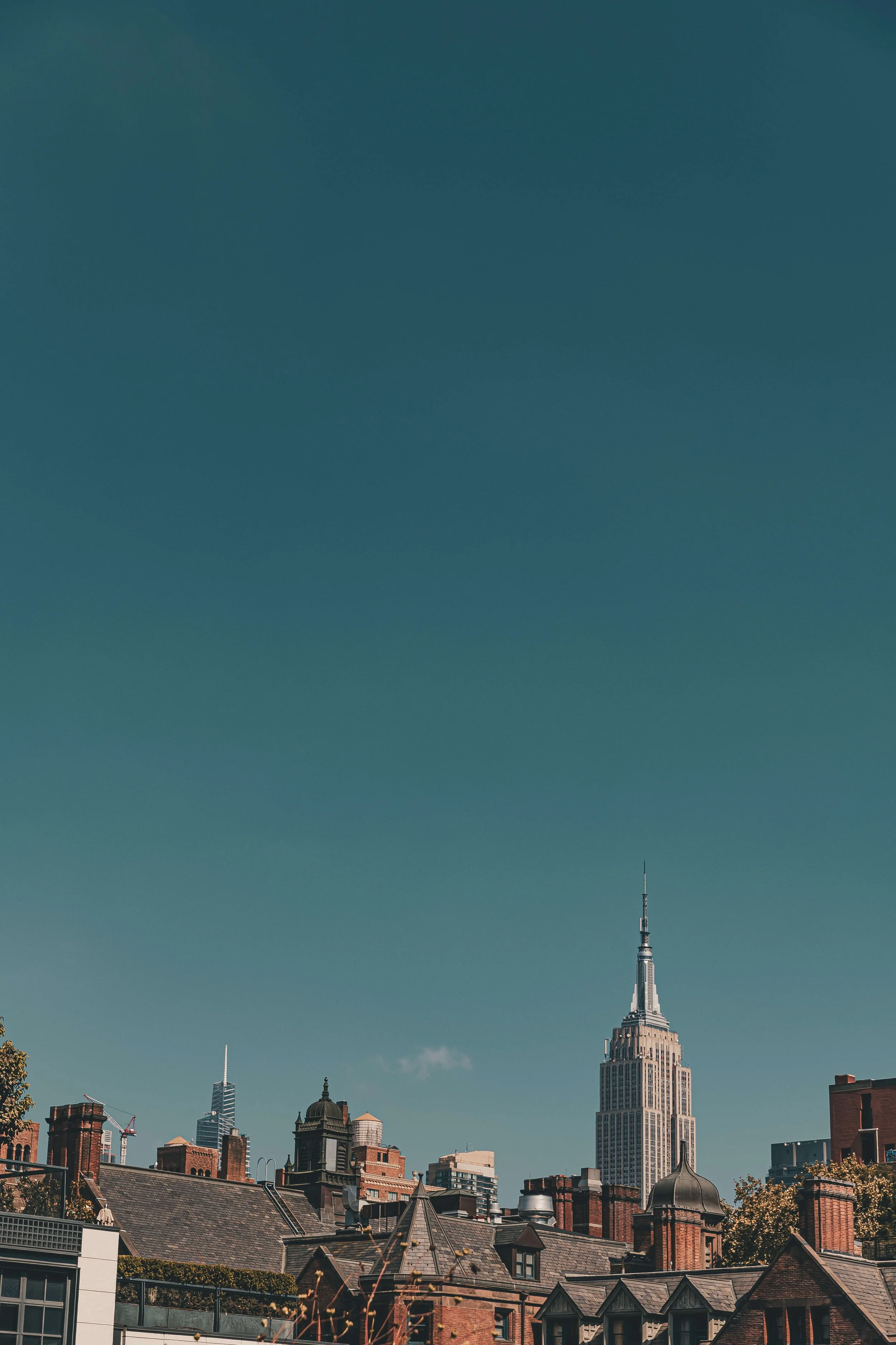 Cityscape featuring the Empire State Building and other skyscrapers under a clear blue sky with rooftops and trees in the foreground.