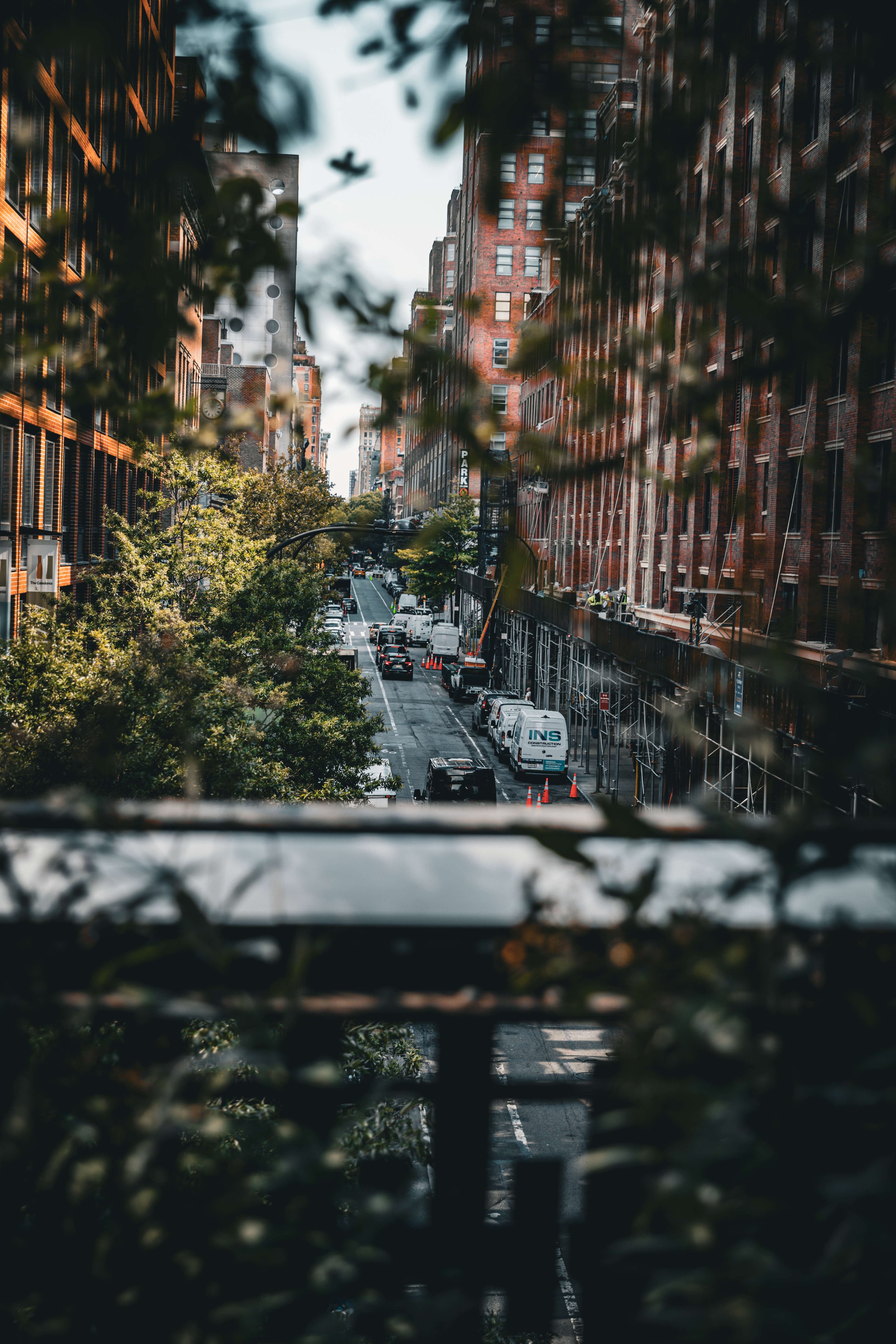 City street view with parked cars and tall buildings, seen through trees and a metal railing.