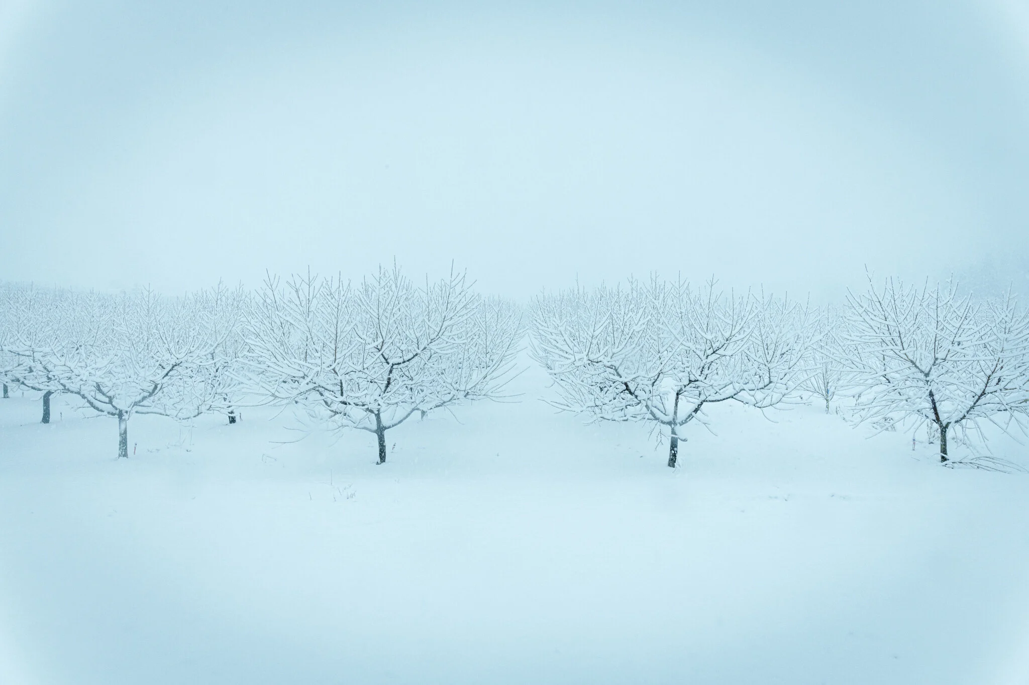 03_HRS2924-18.jpg
