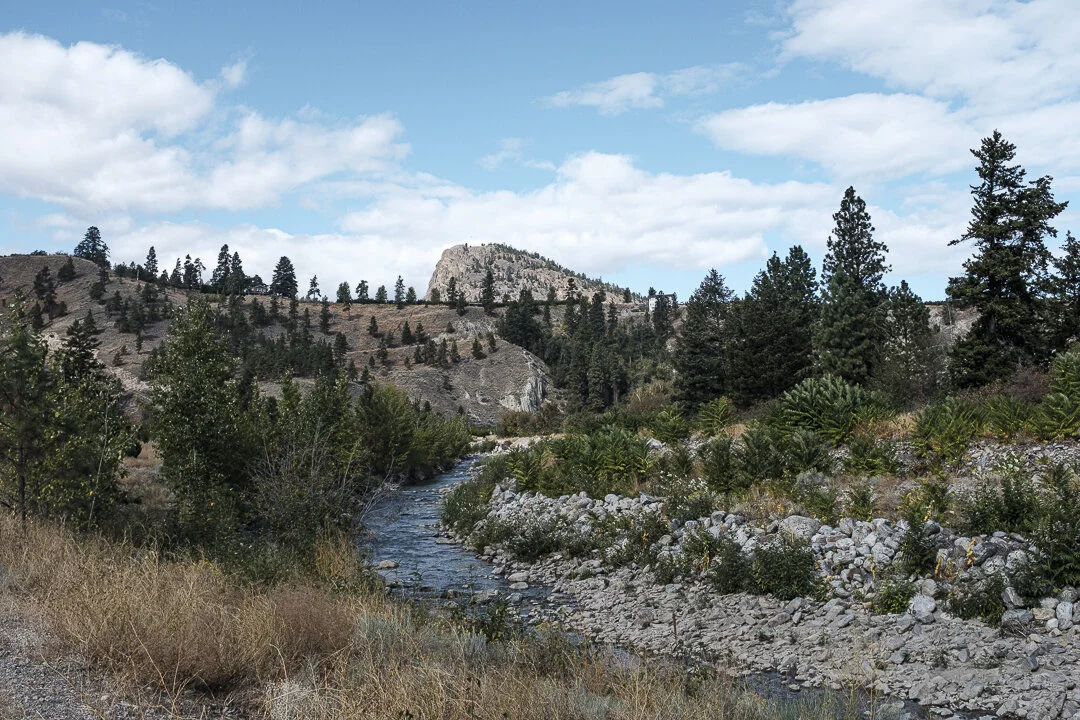 001-Summerland_DSF1749.jpg