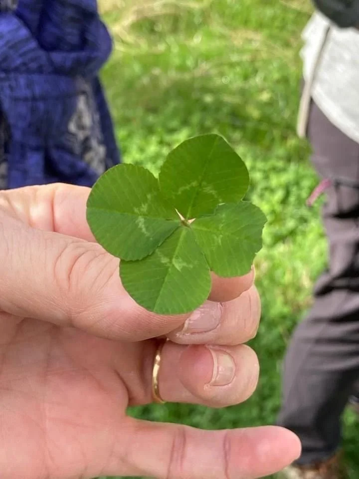 Walking group — Footloose East Midlands Walking Group