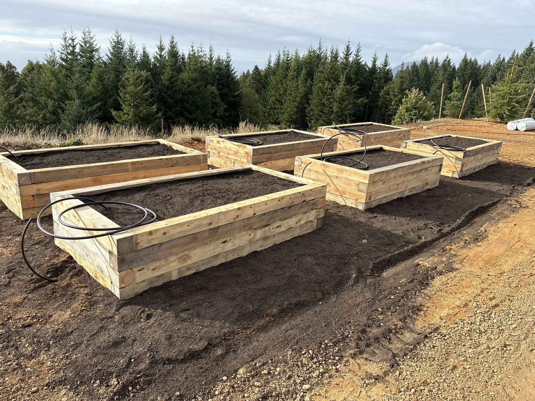 Garden Boxes