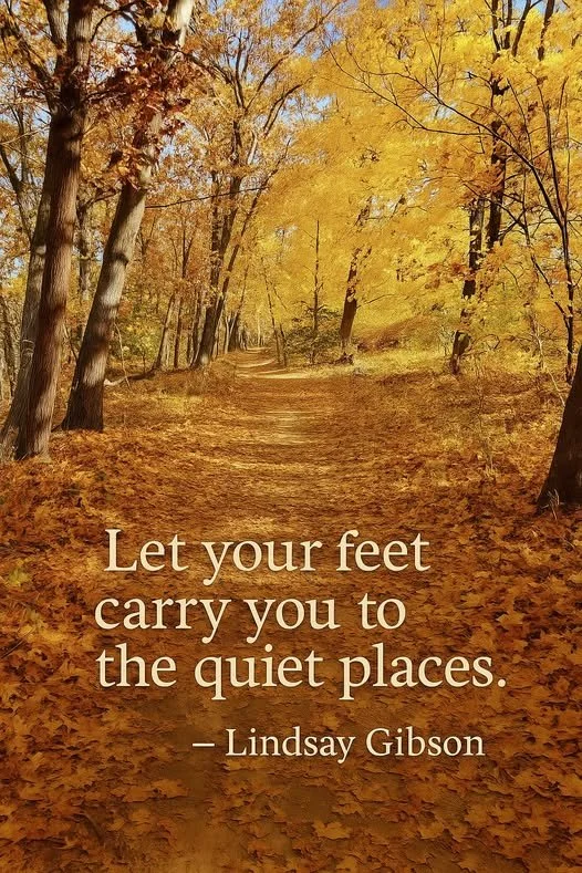 Sometimes All We Need Is a Moment 