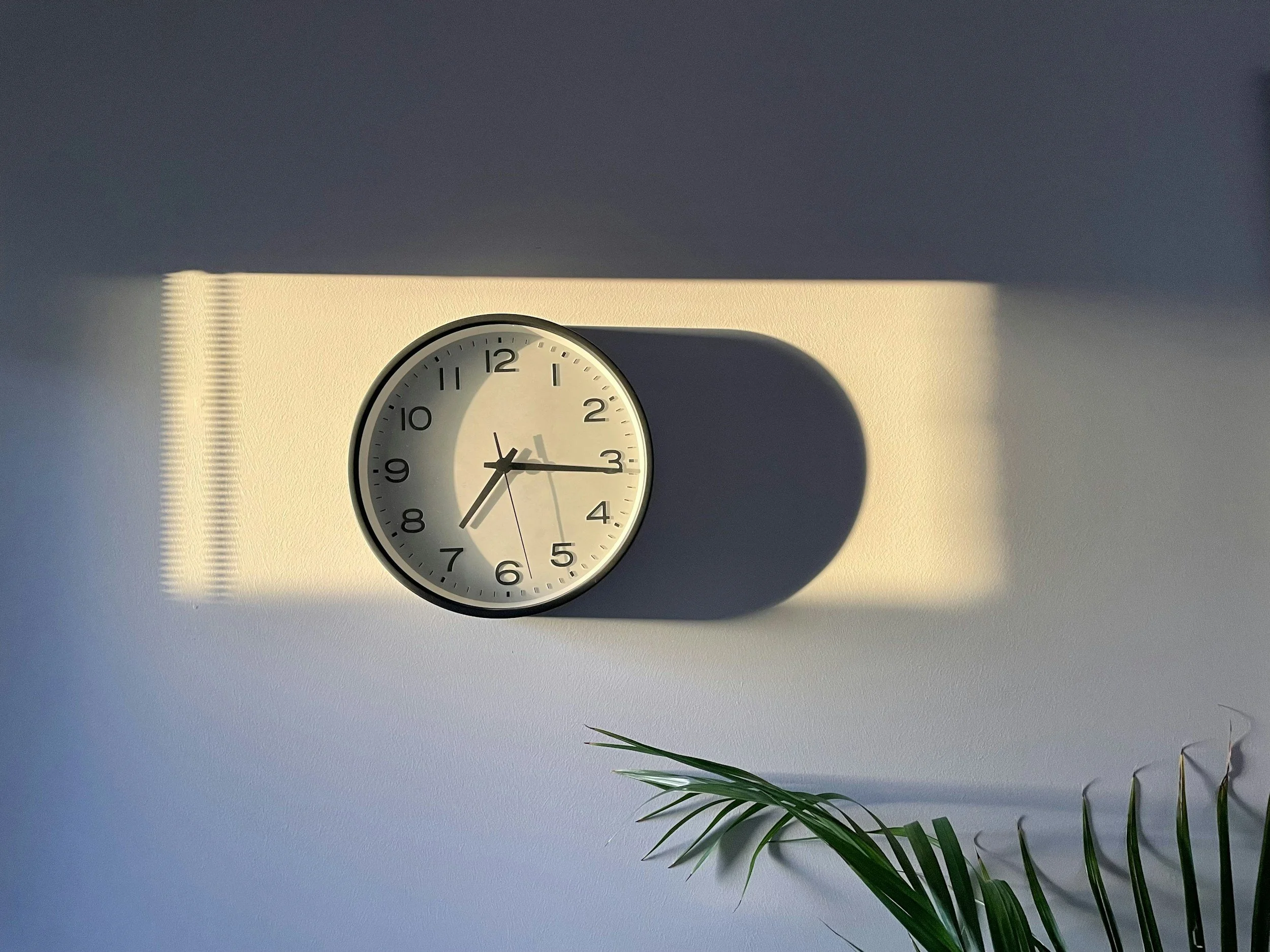 A wall clock showing 2:15, casting a shadow on the wall behind it, with sunlight creating a rectangular illuminated area and a shadow of the clock's frame. A green plant leaf is visible in the bottom right corner.