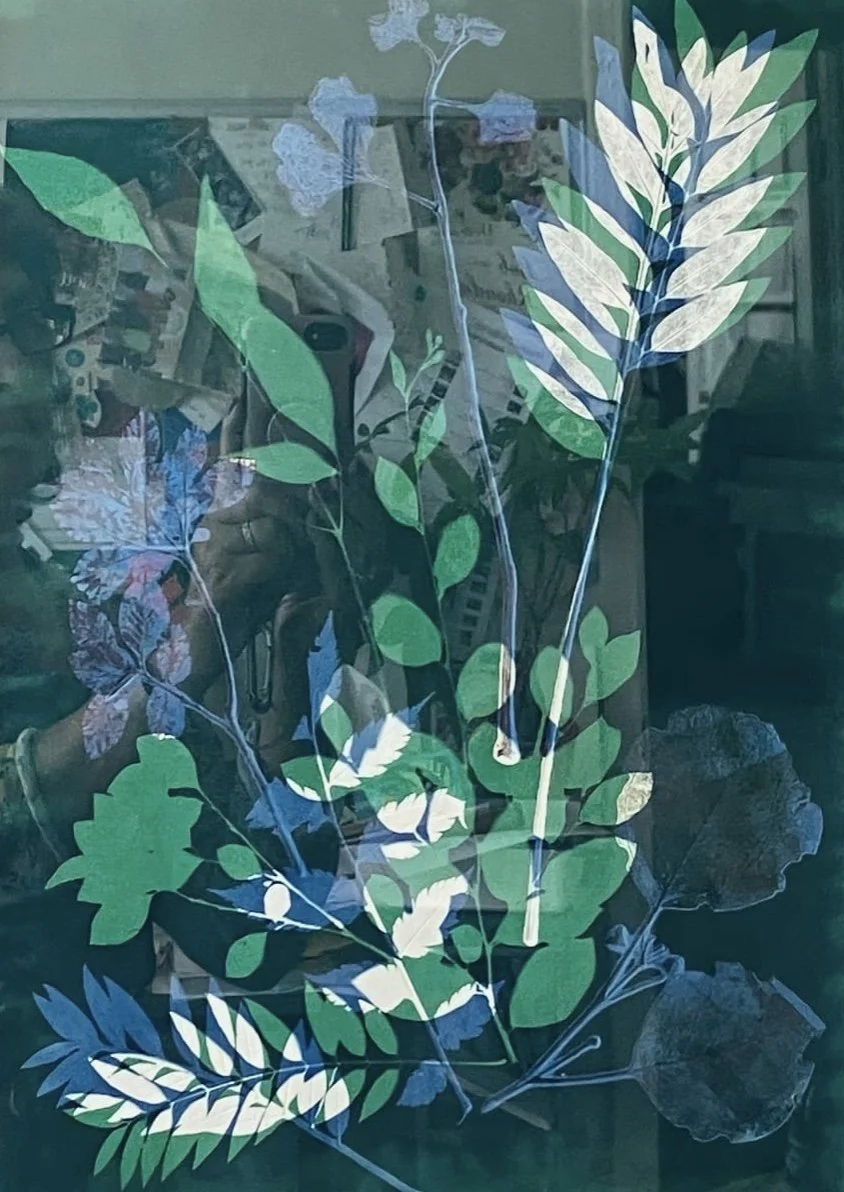 Eucalyptus # 3
