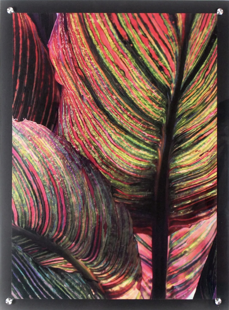 Screenshot 2025-07-27 at 11.05.13 PM.png