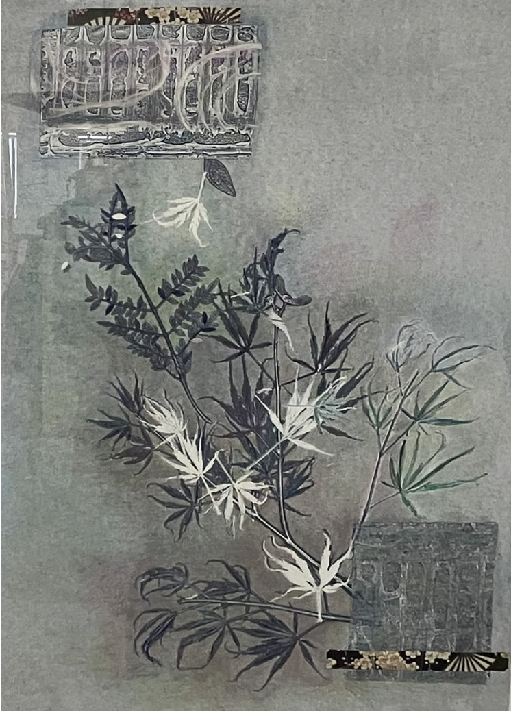 Maple Leaves on Pale Green
Monoprint embellished with color pencil and collage
30 x 22 x 0.05 in 
Framed: 34 x 26 x 1.5 i