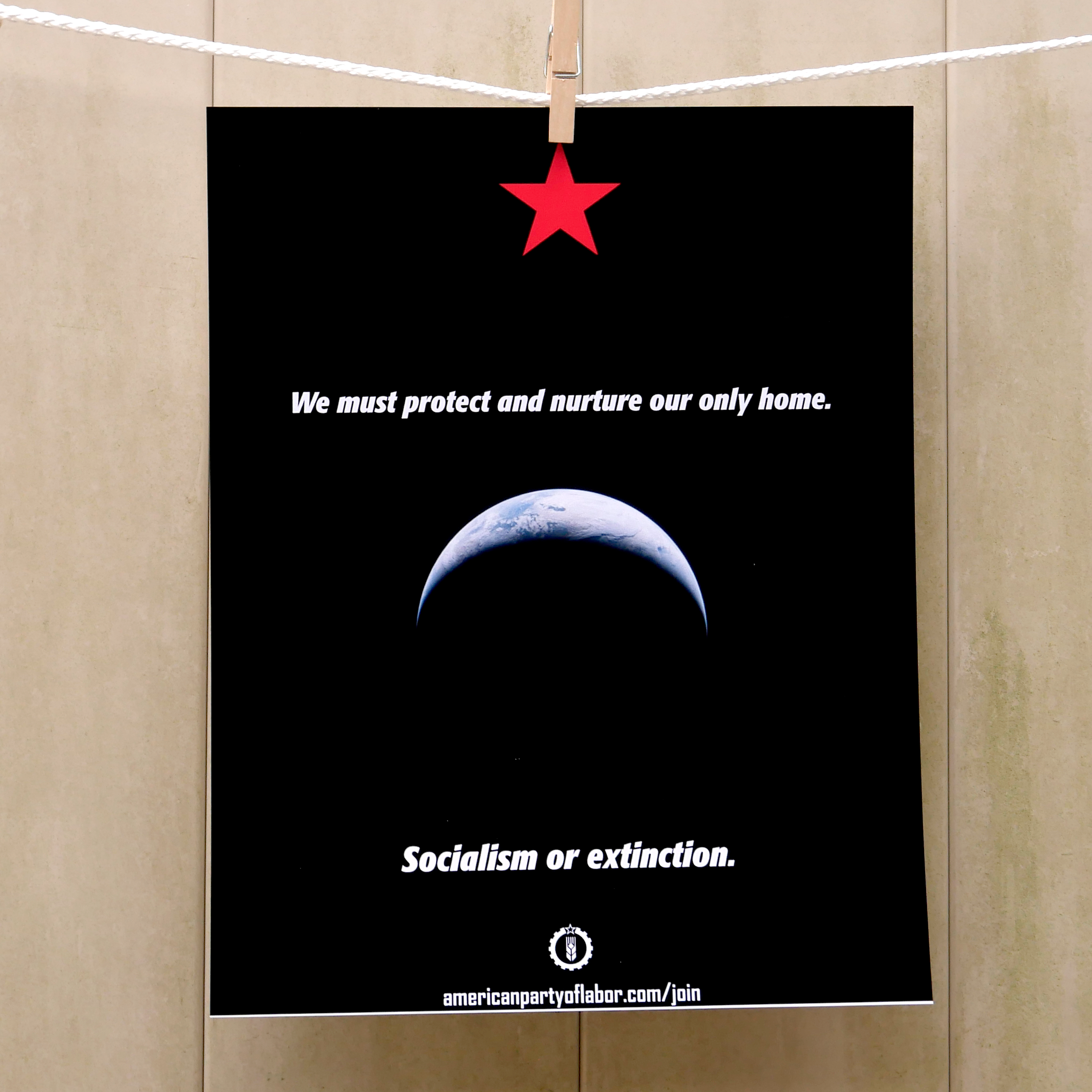 artemisii-1.png