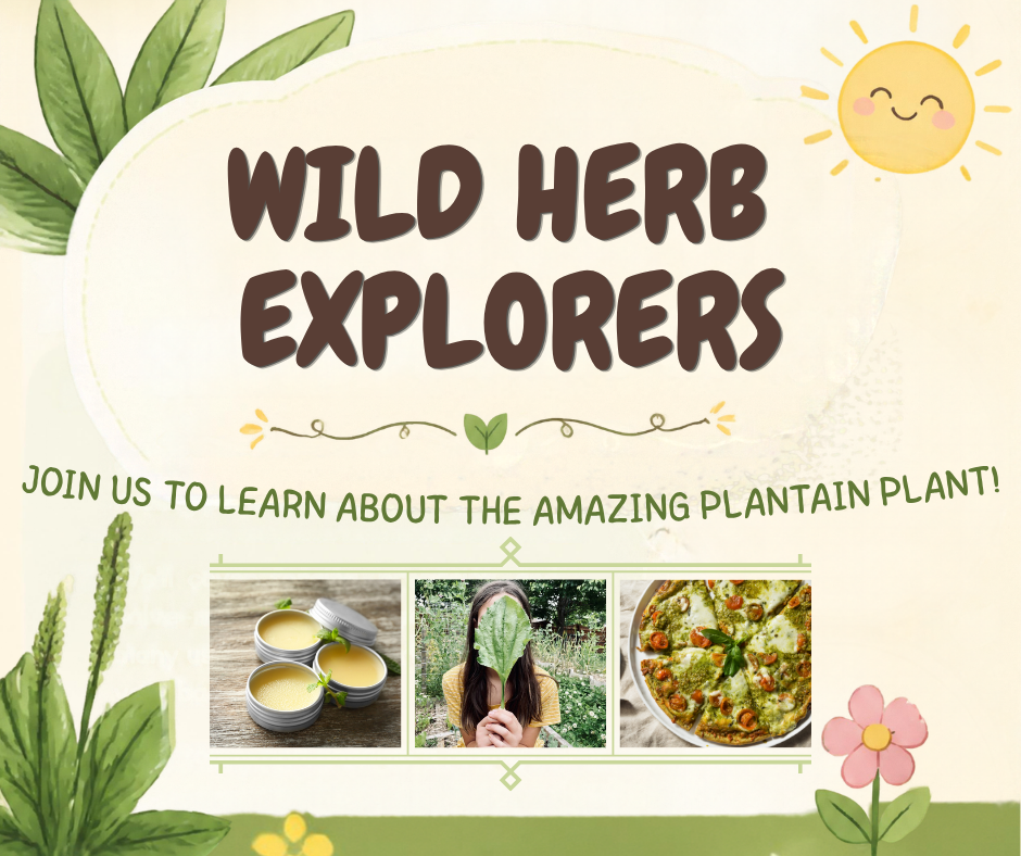 Wild Herb Explorers