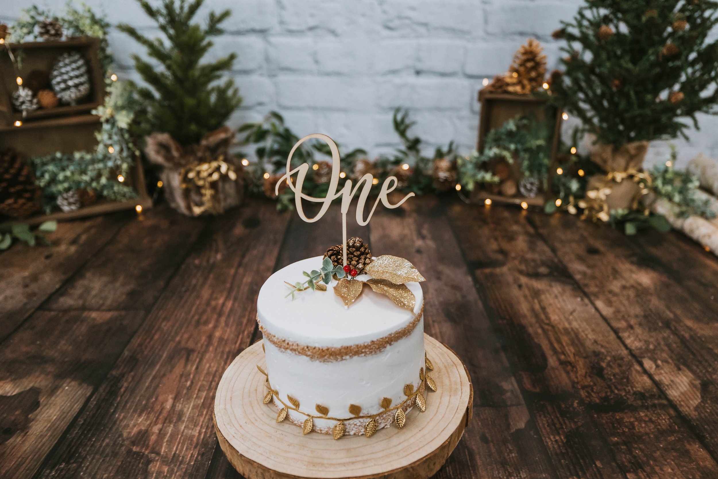 L E O B I R T H D A Y | cake smash-7.jpg