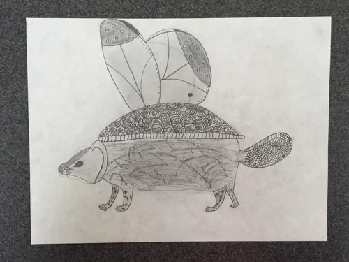Drawing Realistic And Fantasy Animals Ages 10 13 Hilary Cannon Anderson