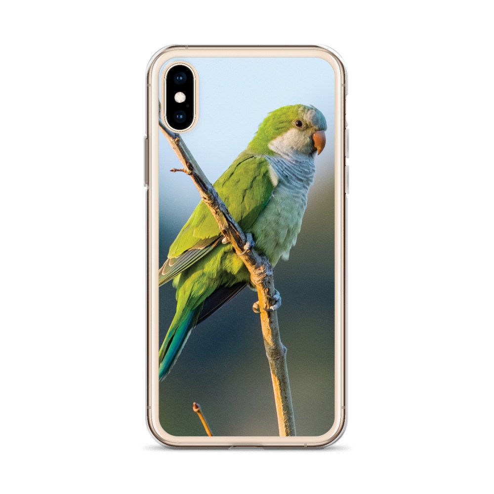 iphone-case-iphone-x-xs-case-on-phone-6357f2d84a5dd.jpg