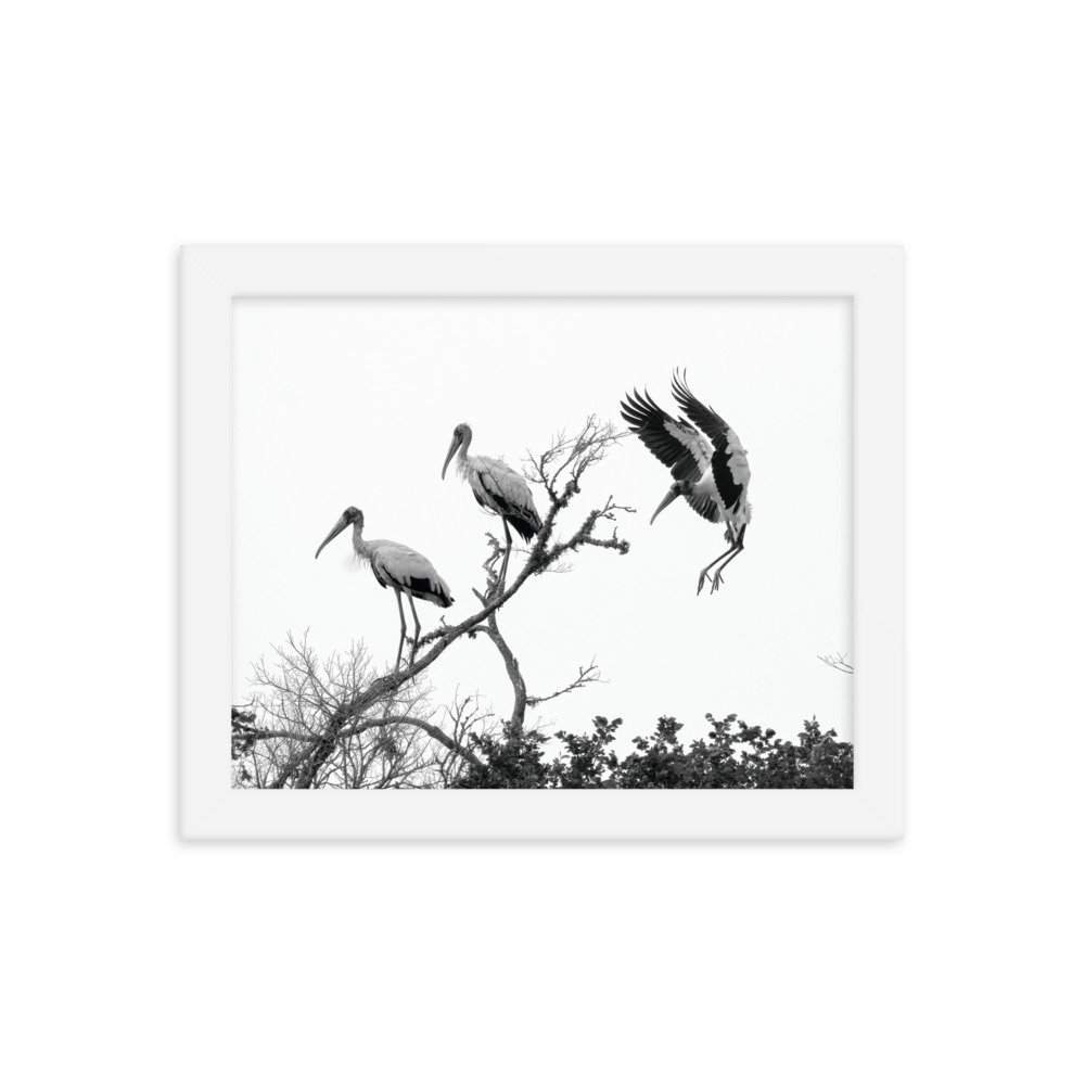 enhanced-matte-paper-framed-poster-(in)-white-8x10-transparent-63584ccb0934c.jpg