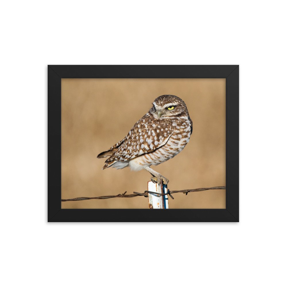 enhanced-matte-paper-framed-poster-(in)-black-8x10-transparent-63585361d5d05.jpg