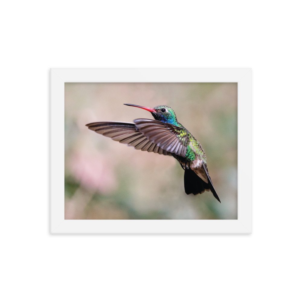 enhanced-matte-paper-framed-poster-(in)-white-8x10-transparent-636909c8e0624.jpg