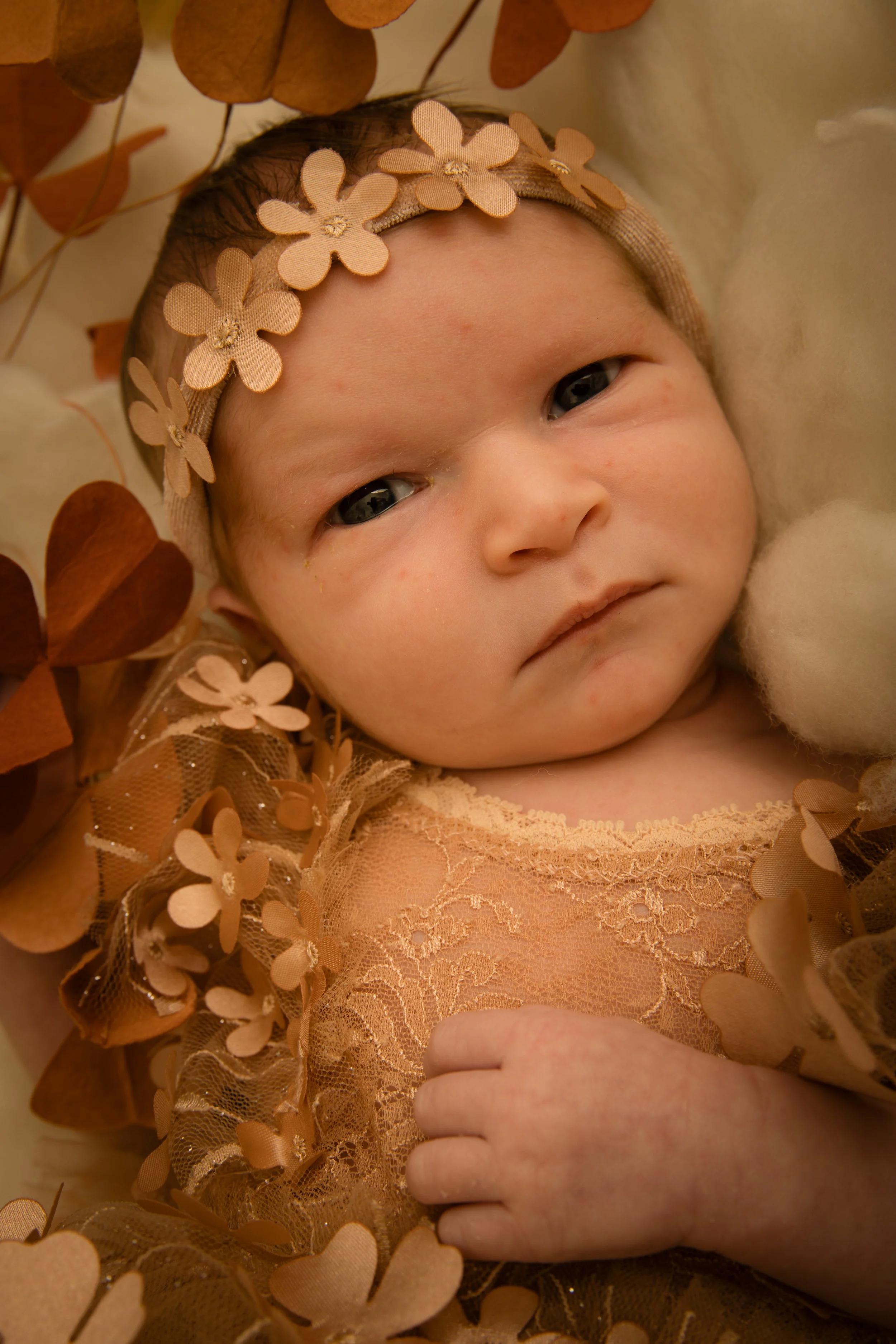 Lucy October 2025 Large-121.jpg