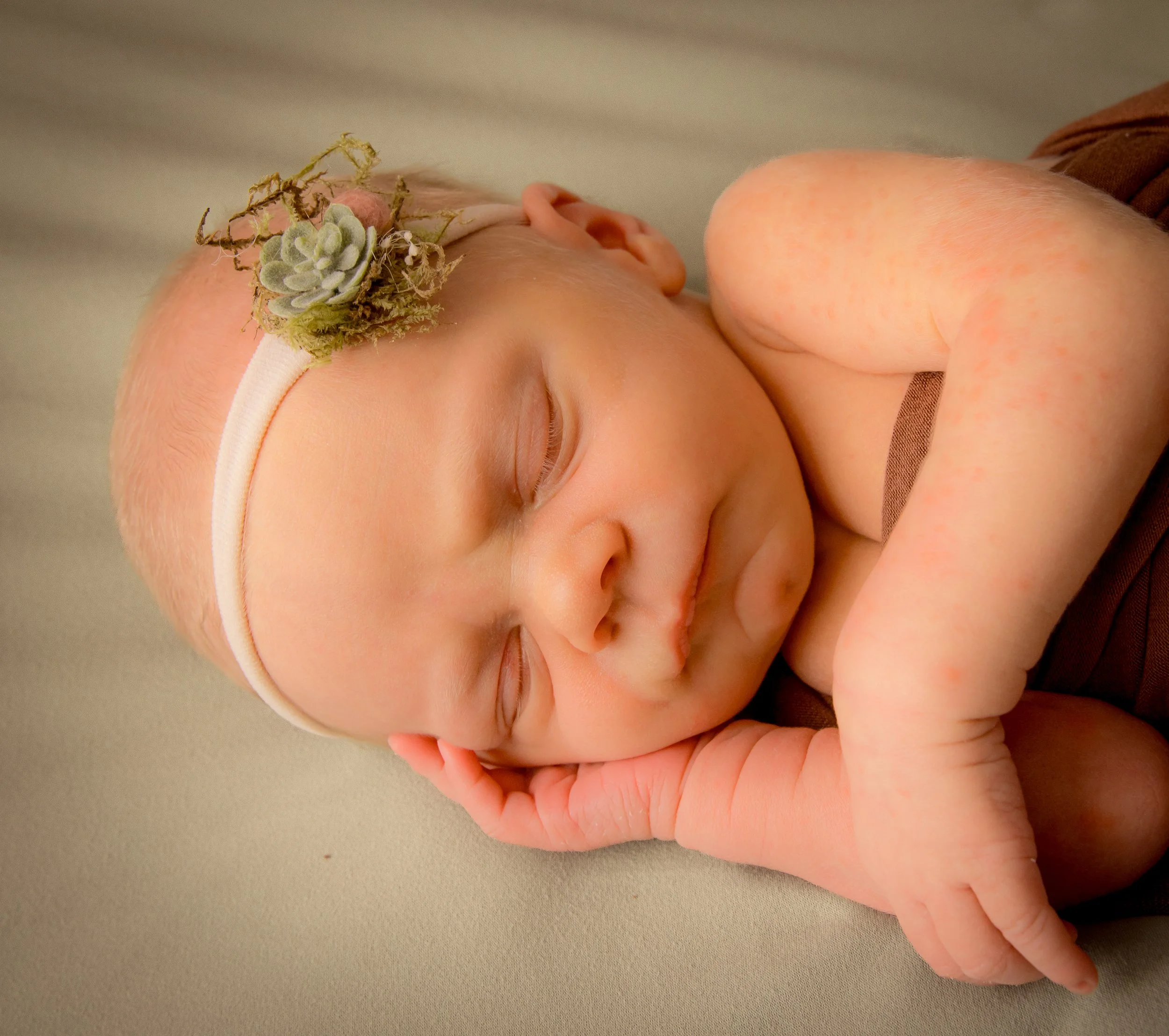 Stella Wilde 2025 large-4.jpg