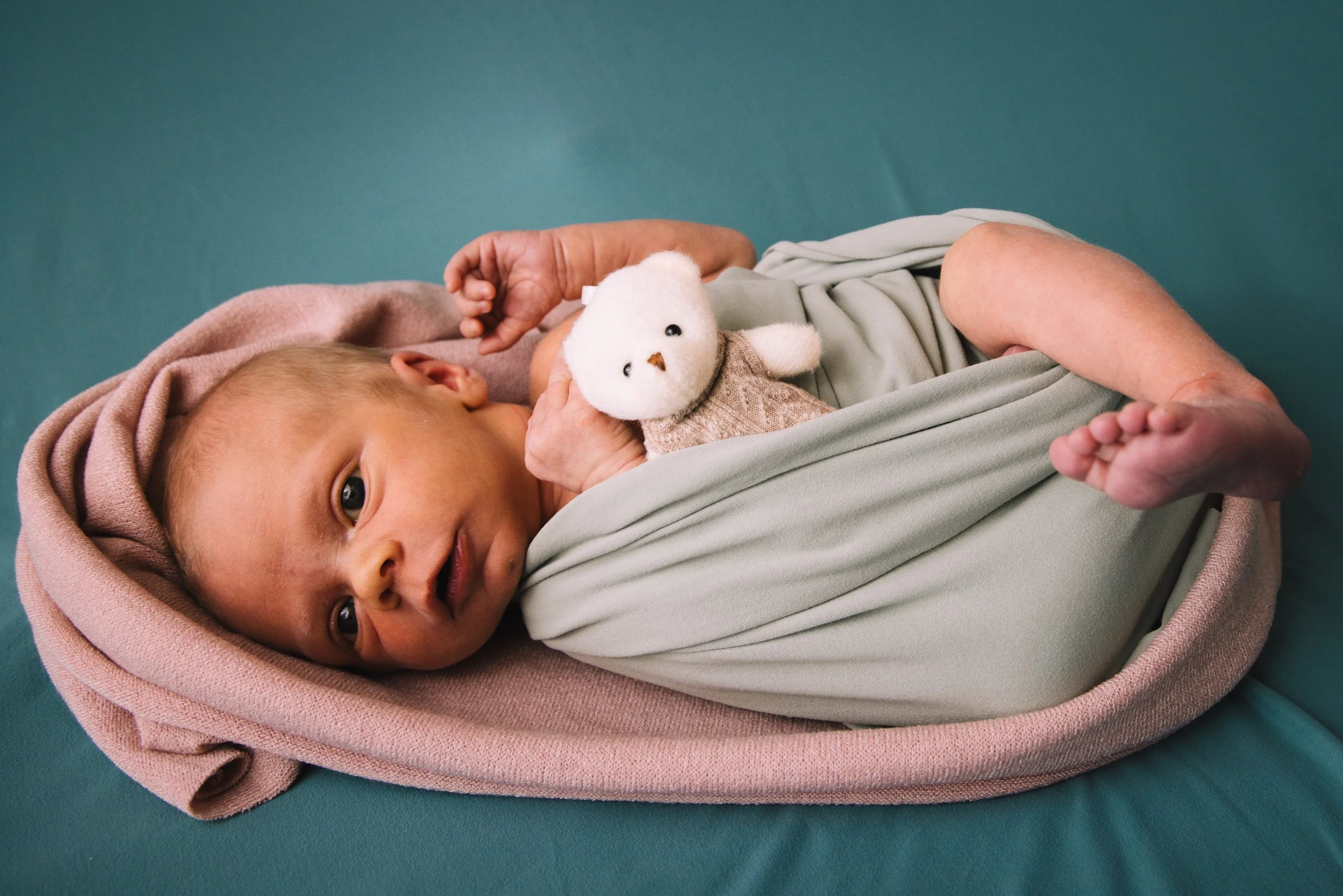 Stella Wilde 2025 large-36.jpg