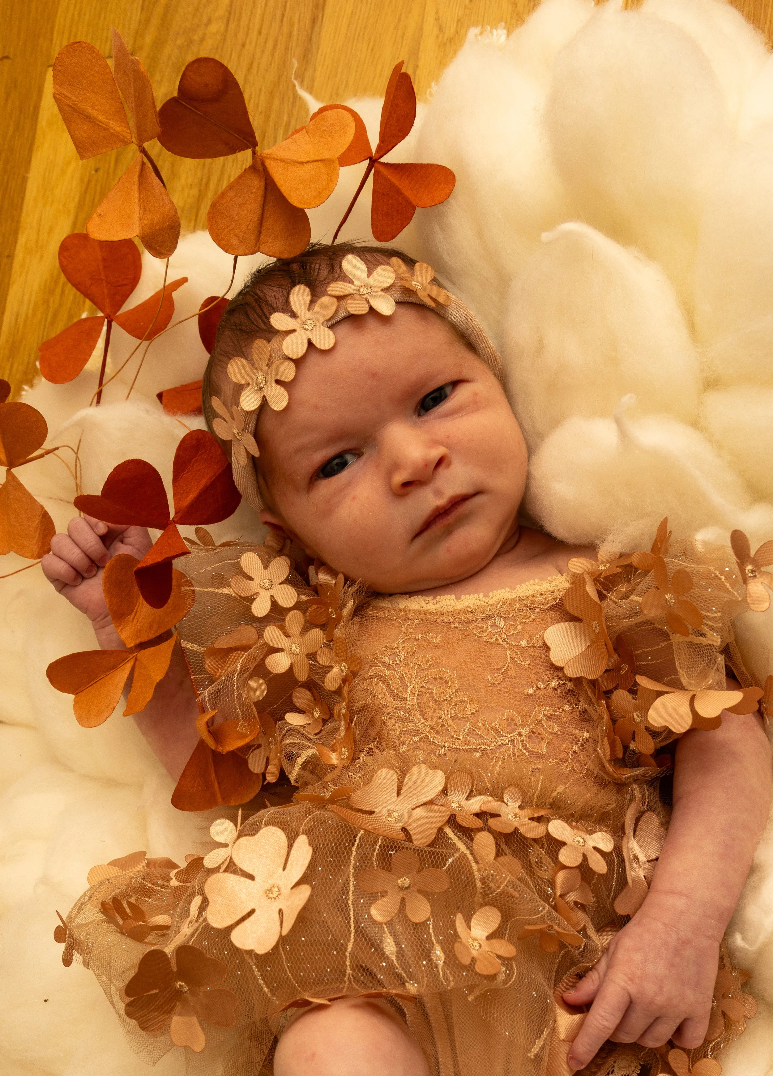 Lucy October 2025 Large-115.jpg