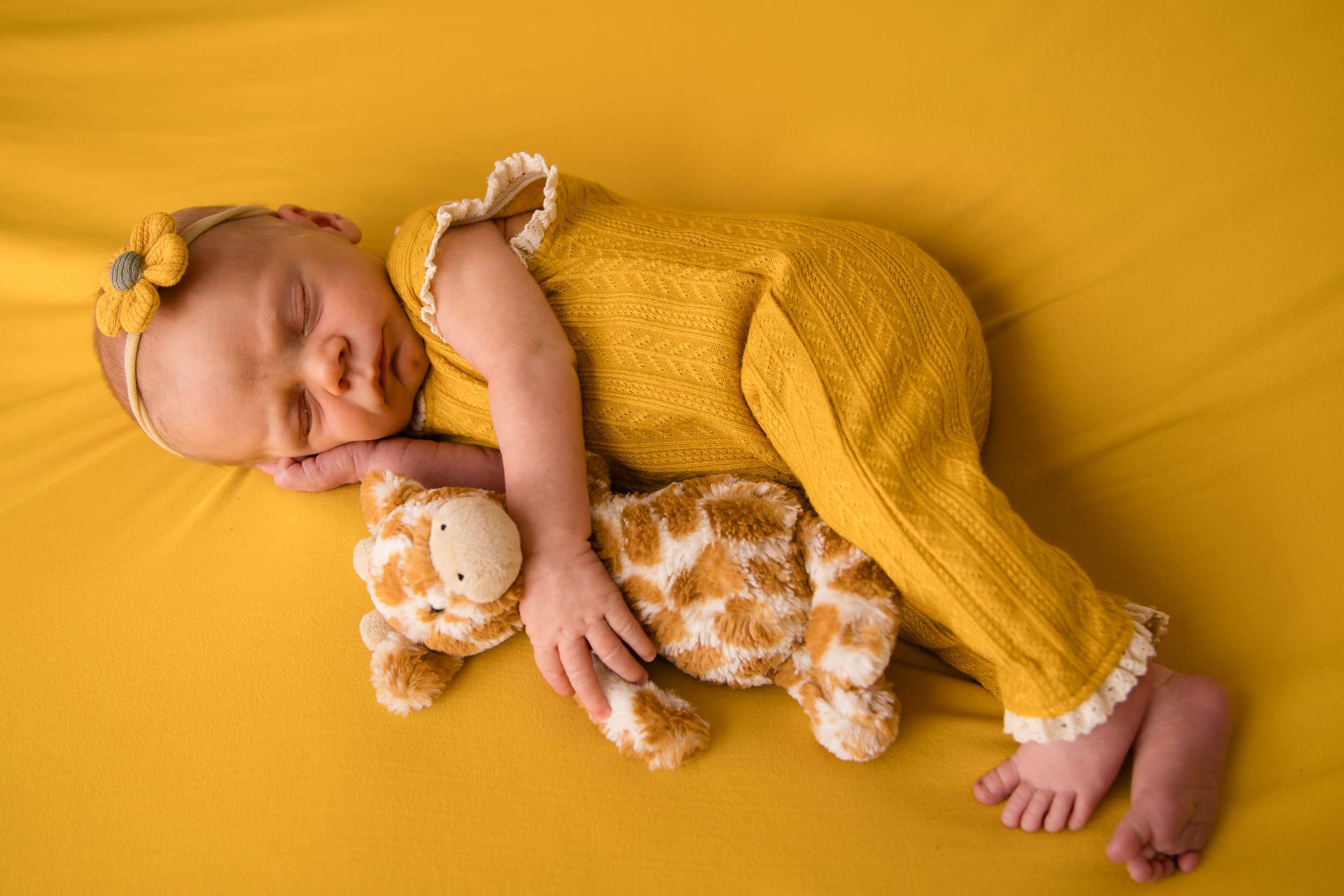 Stella Wilde 2025 large-56.jpg