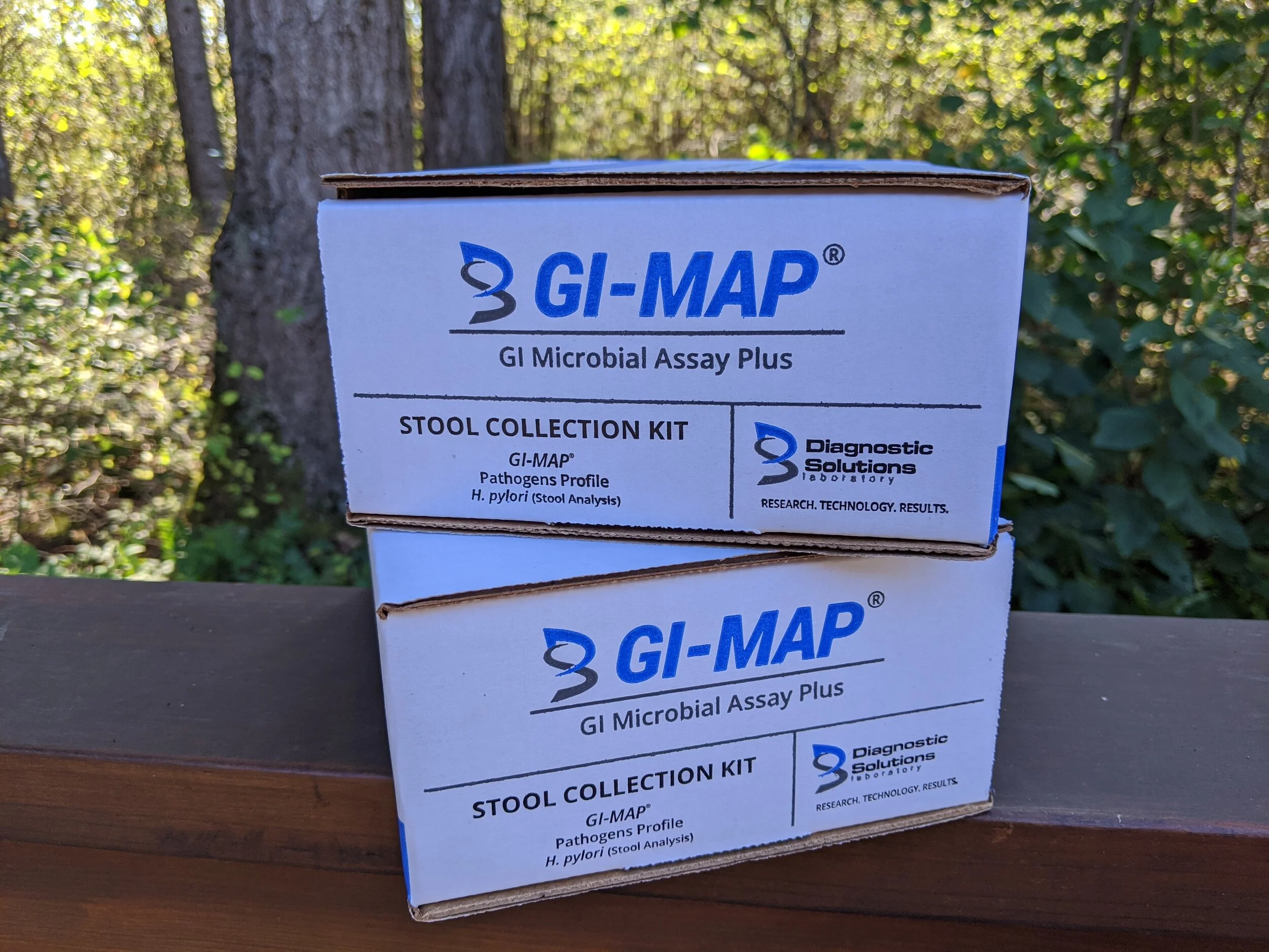 GI Map test (stool analysis) - results, interpretation and a sample report