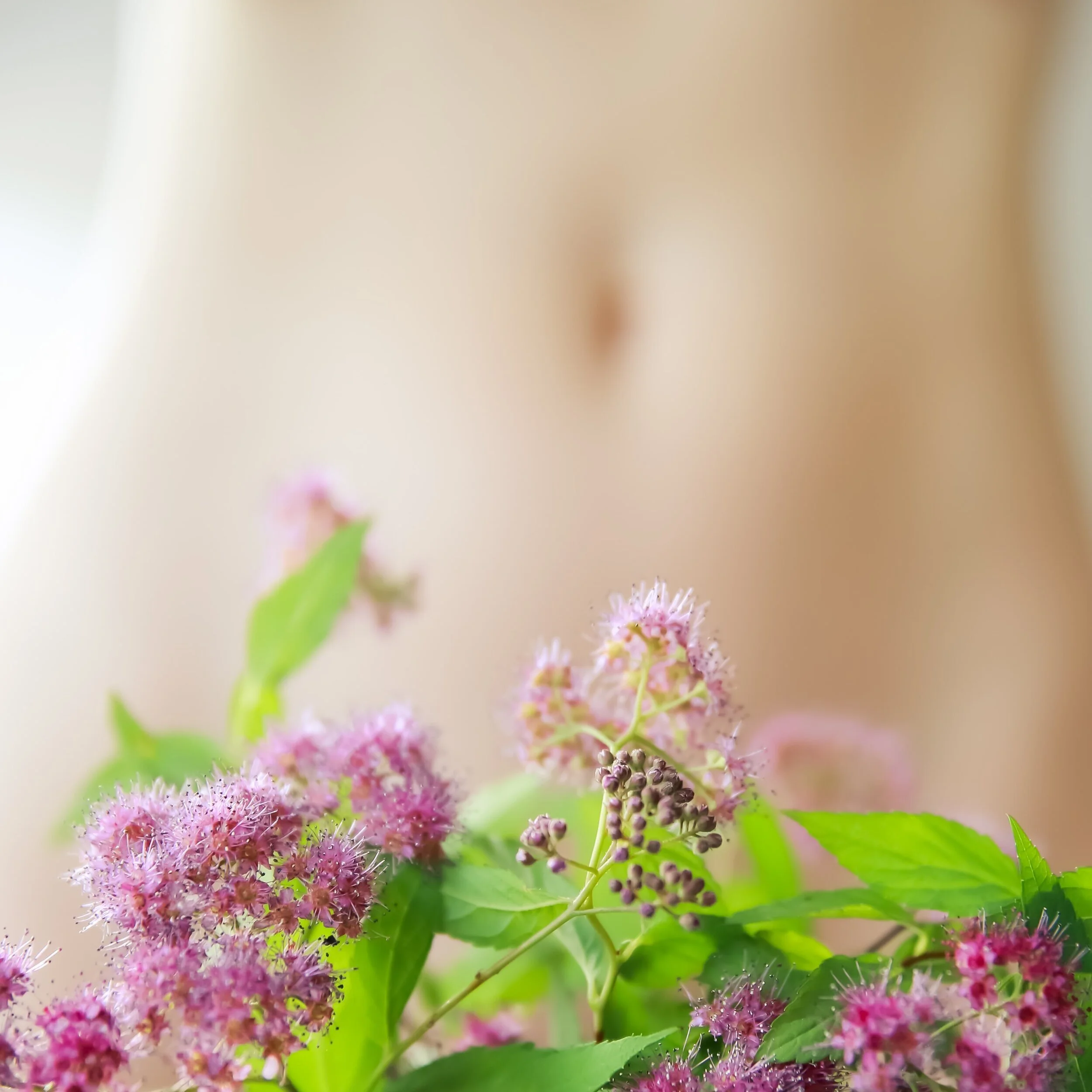 hand-drawn simplified needles in back acupuncture icon