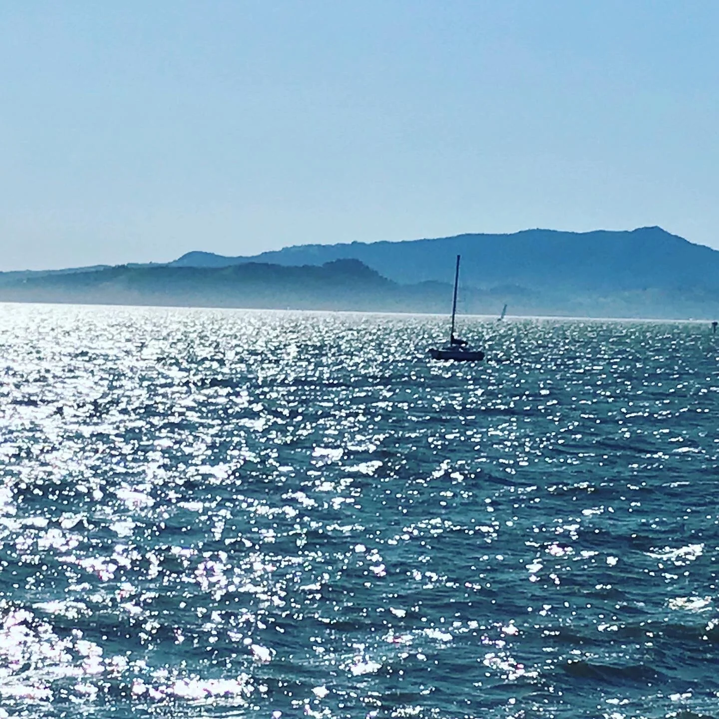 Blog post, news and insights, SOON!