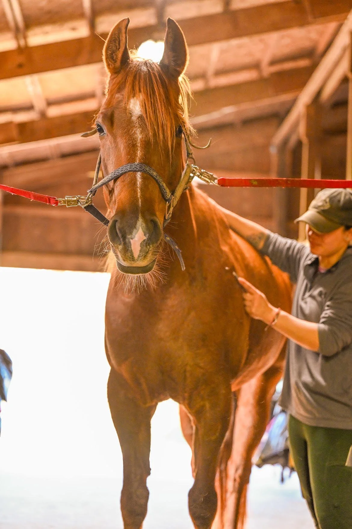 Professional Pathways Q&amp;A with Tatiana Perez