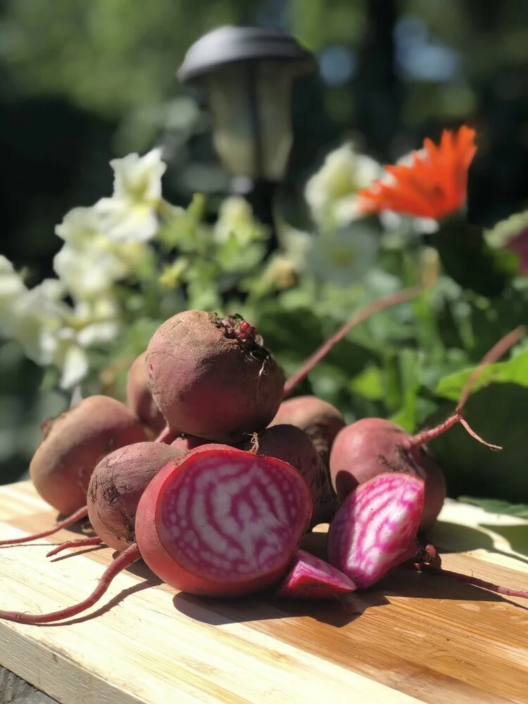 Beets.jpg