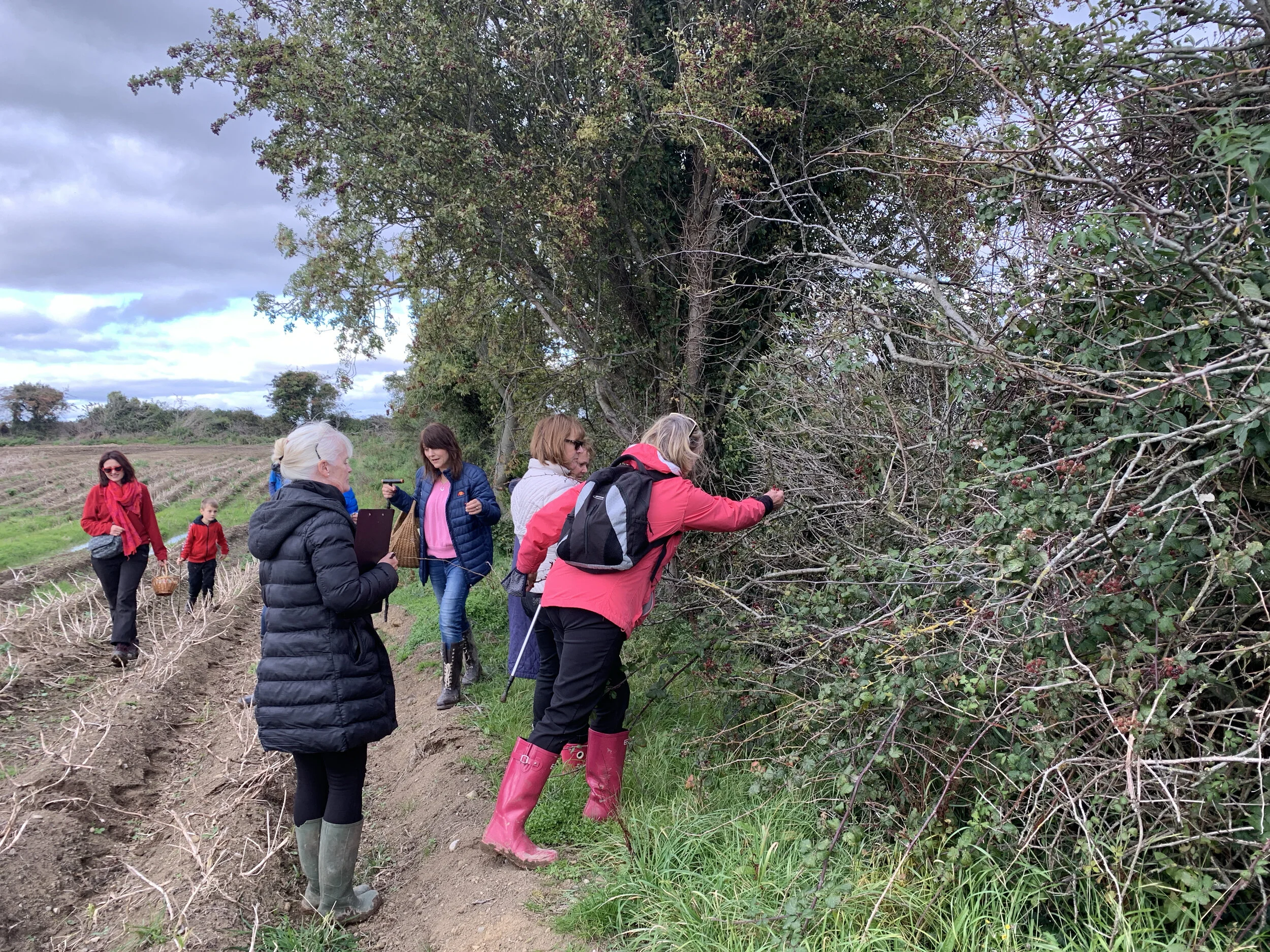 JPEG image-01596E93A7B7-6.jpeg