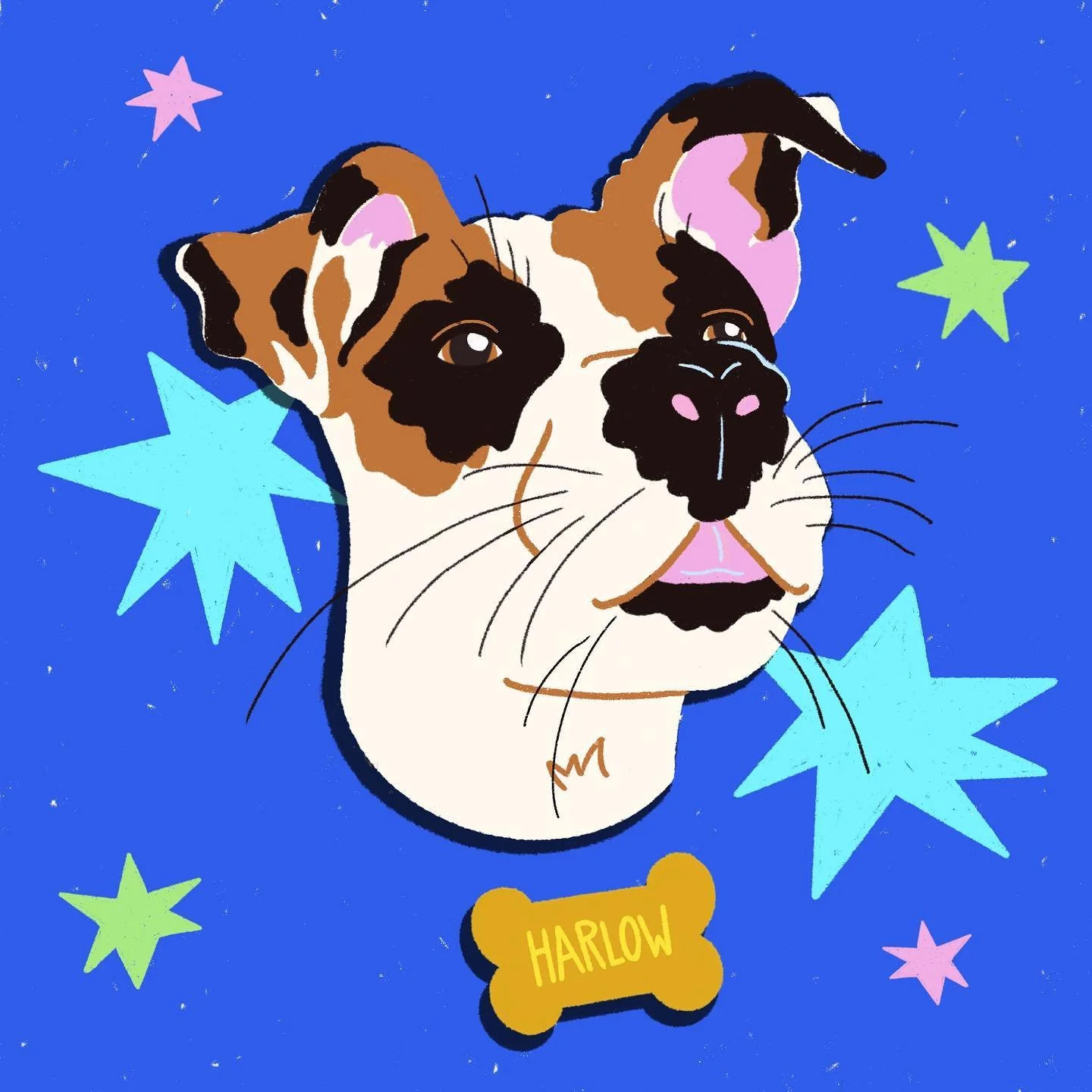 Missing my little muse 💖🎨🐶