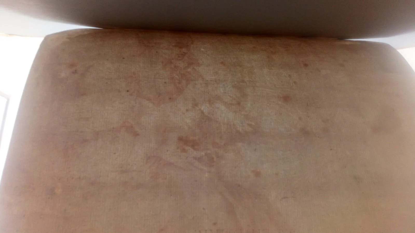 fenzoni water mark.jpg